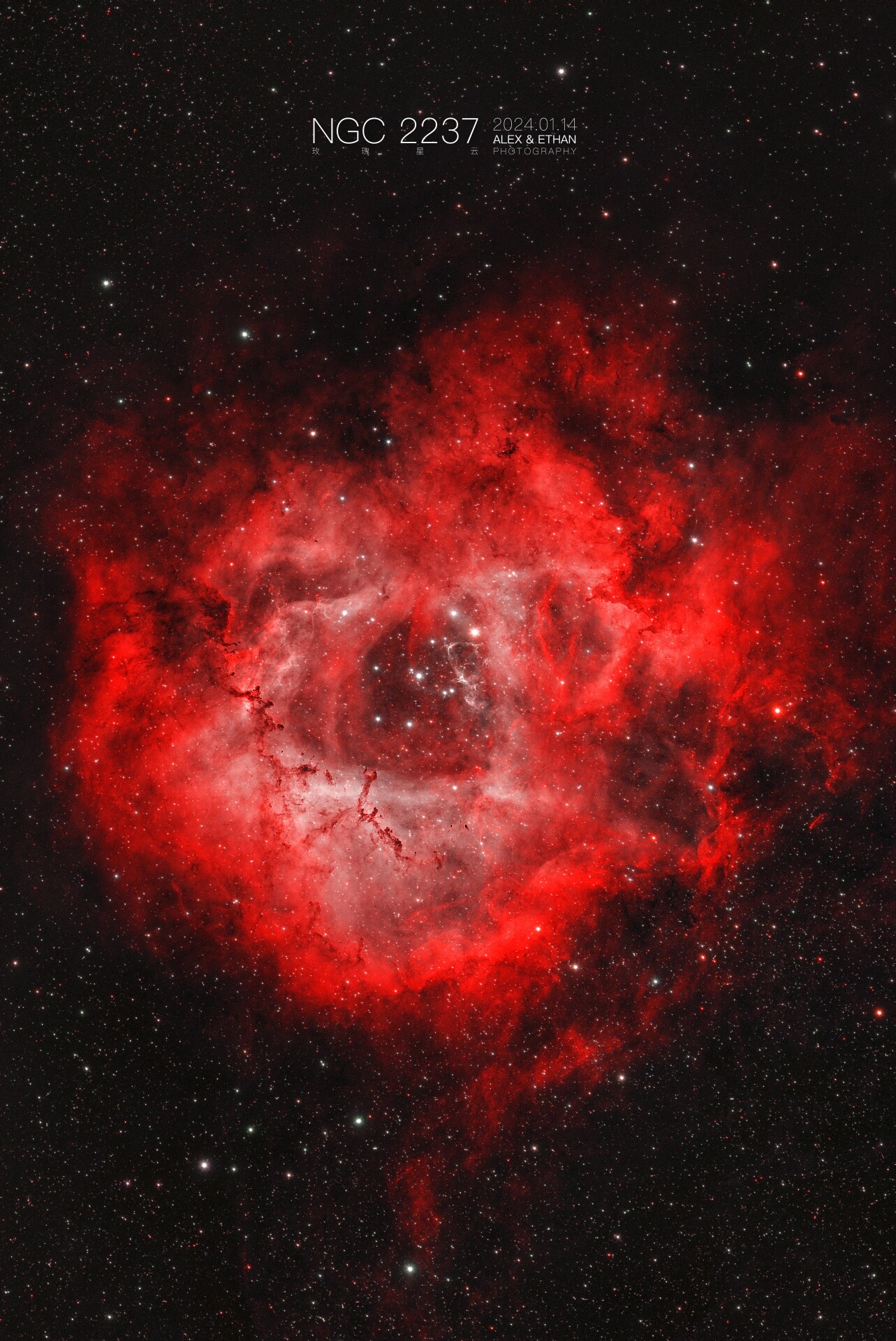NGC 2237 玫瑰星云