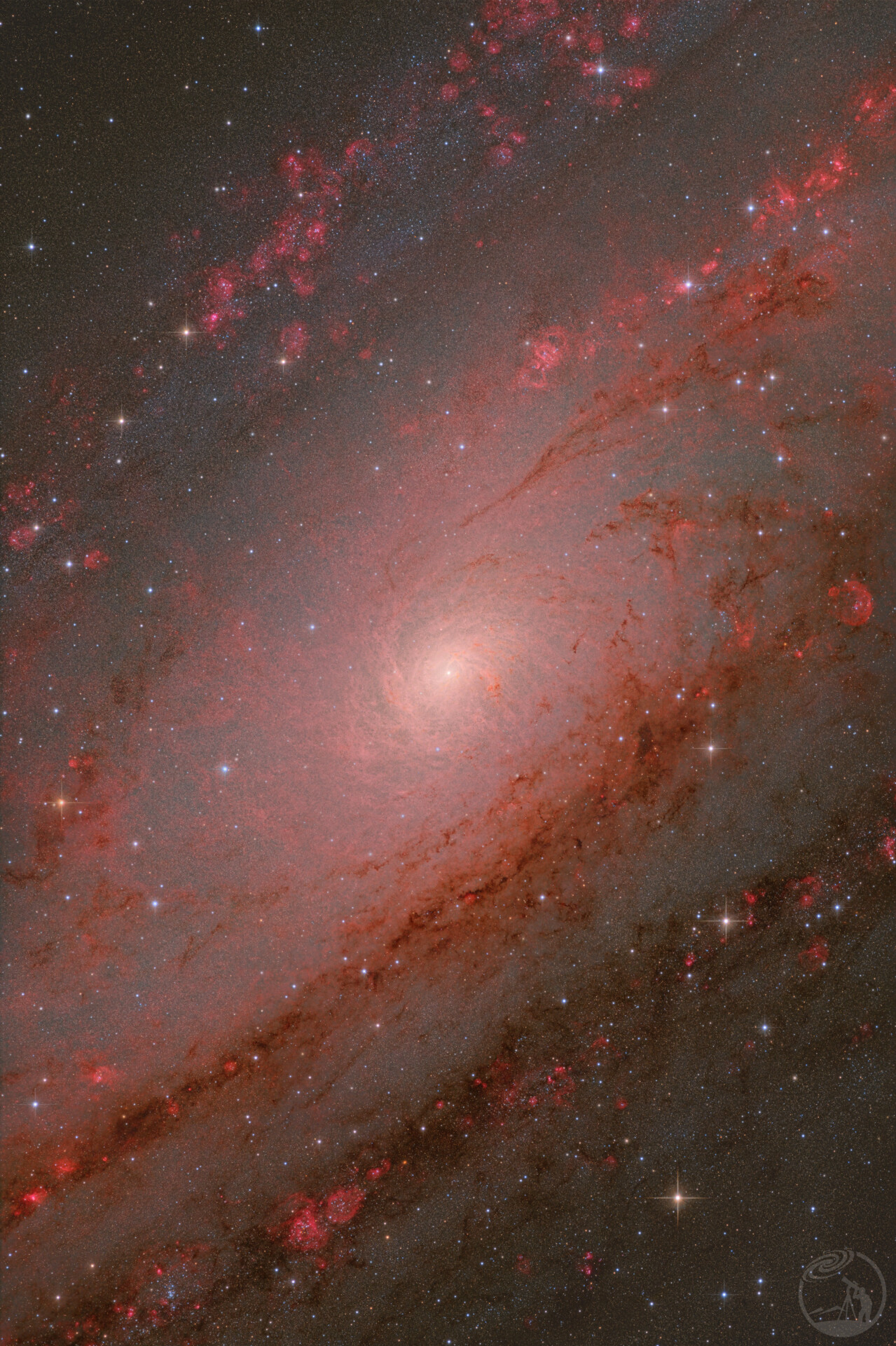 M31的星场、尘埃和Ha螺旋结构