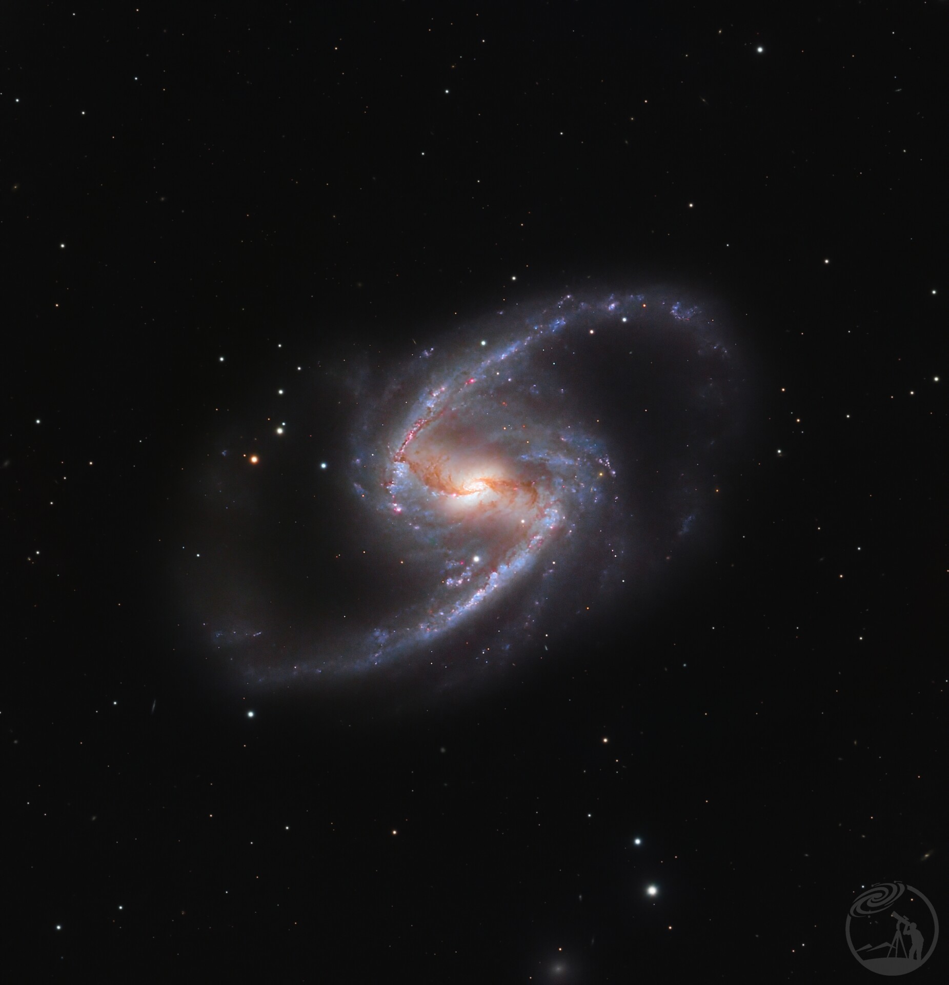 ngc1365