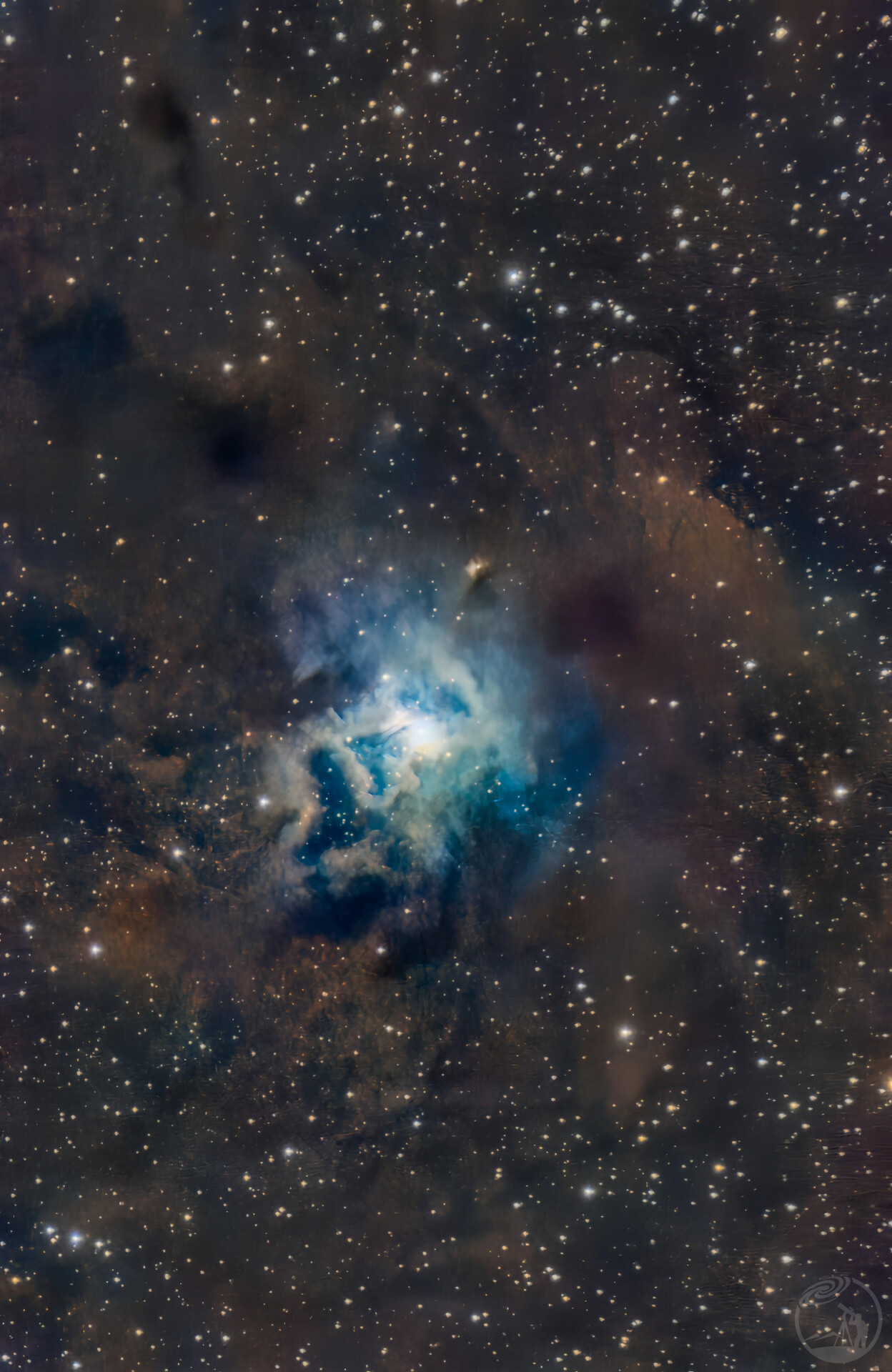 NGC7023 鸢尾花星云