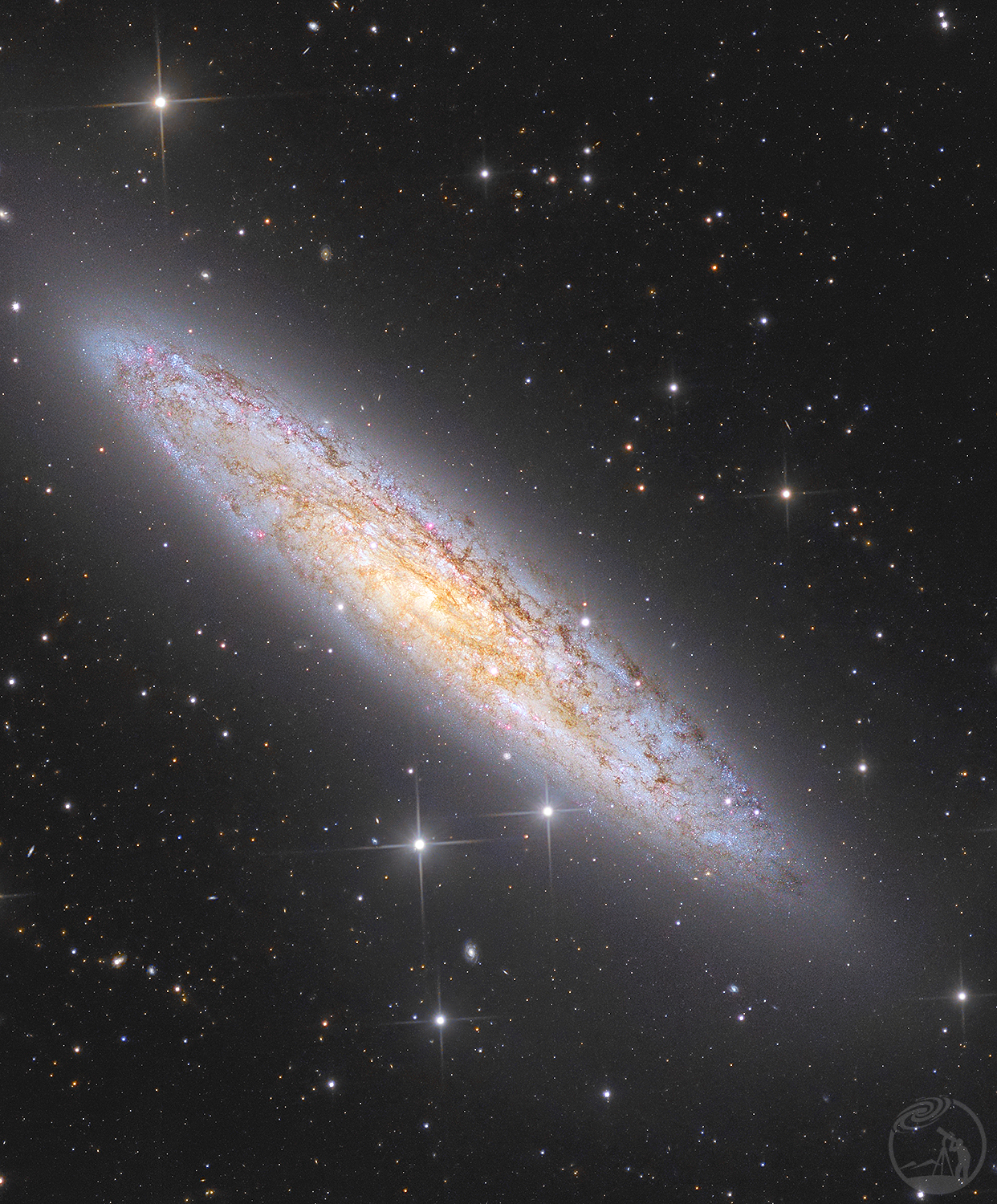 NGC253