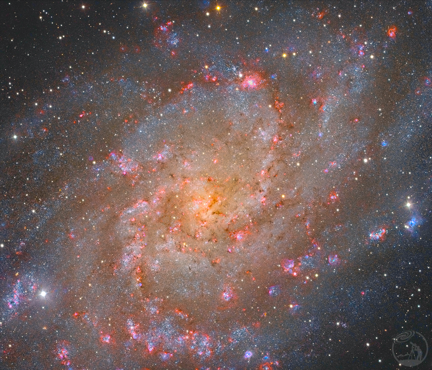 M33