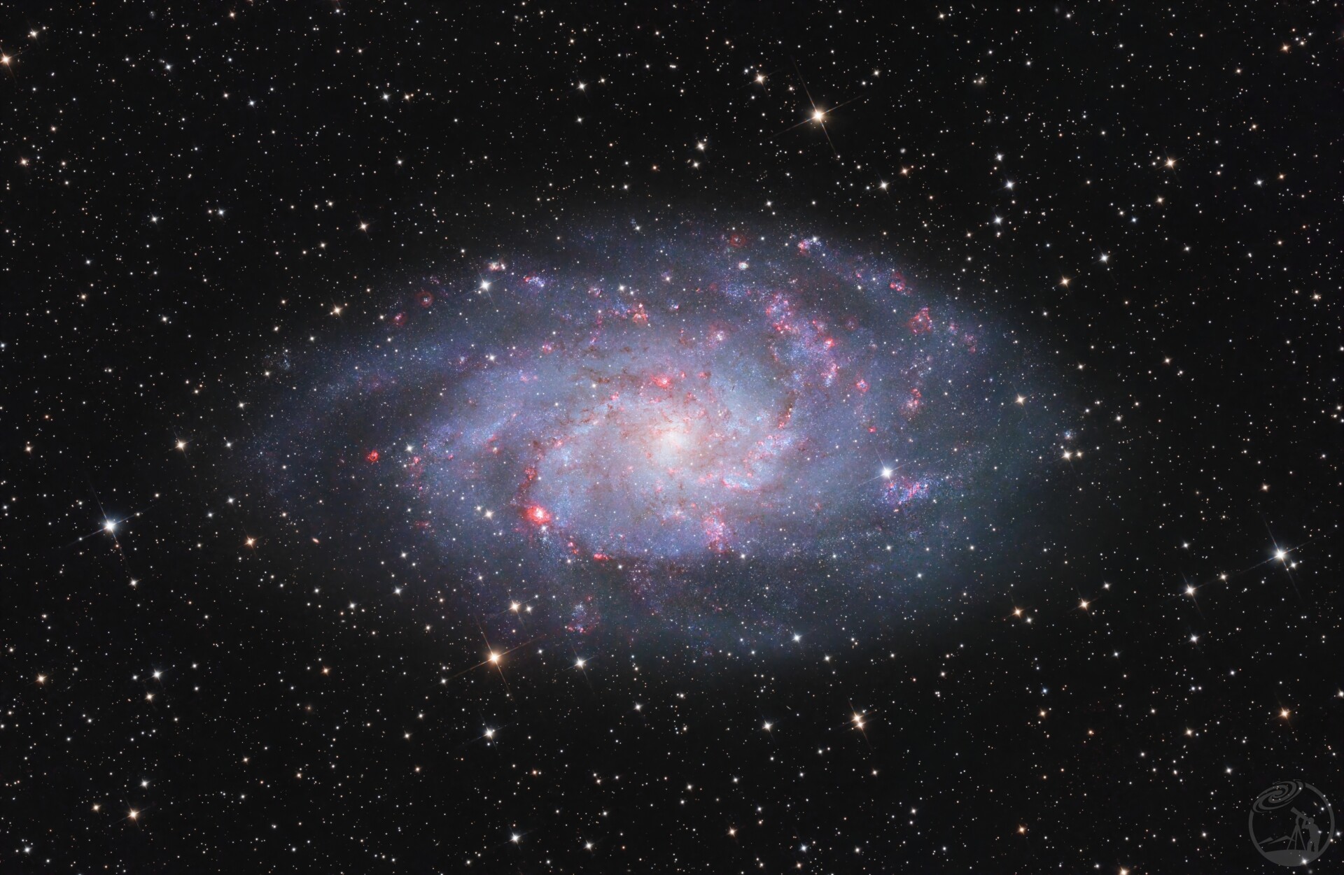 m33小红花