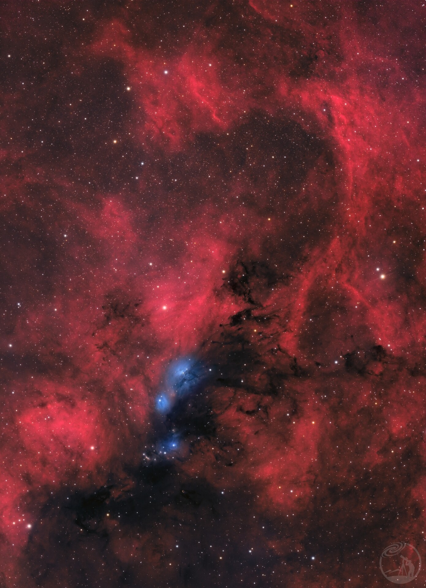 NGC 6914