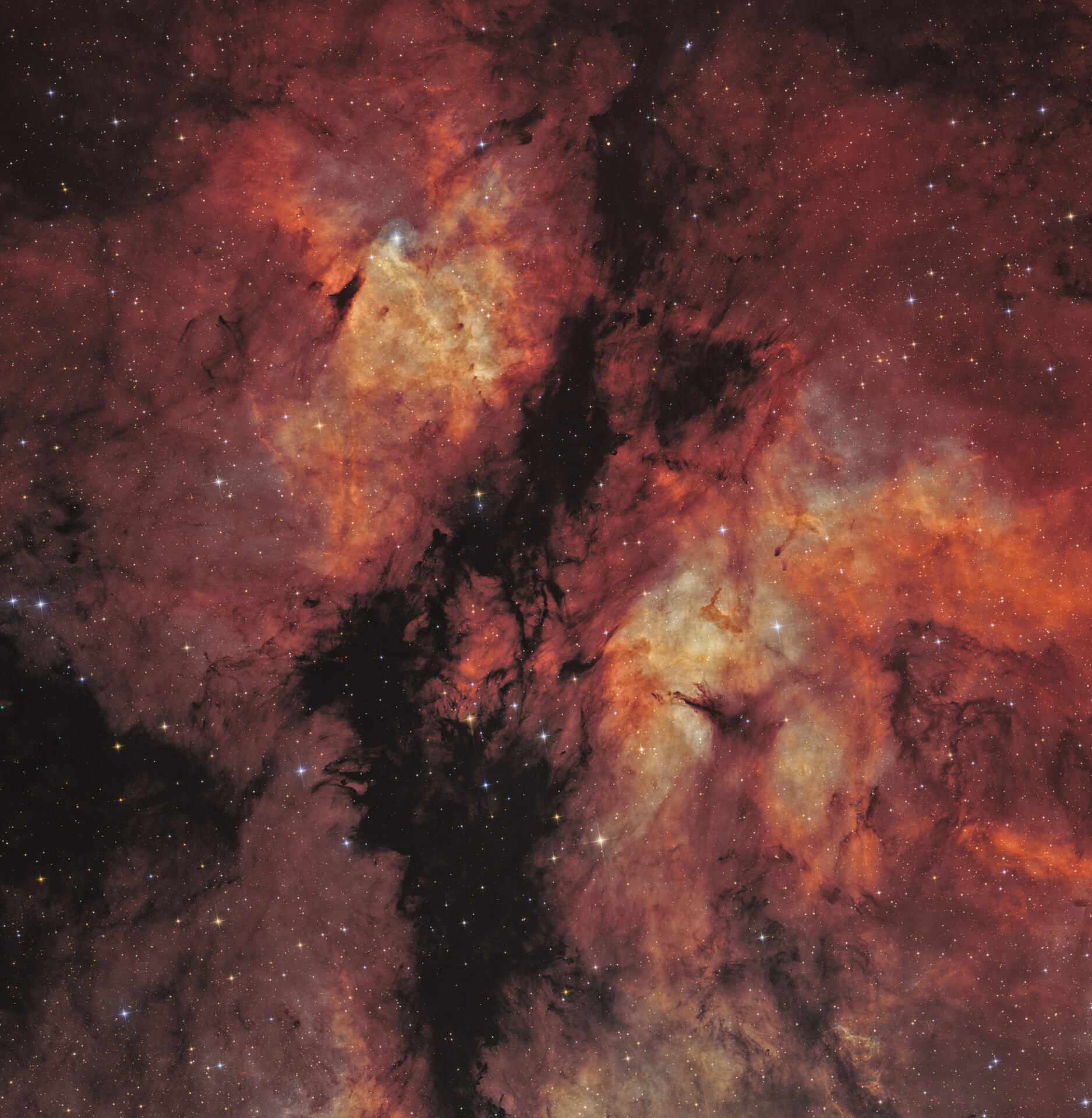 IC 1318