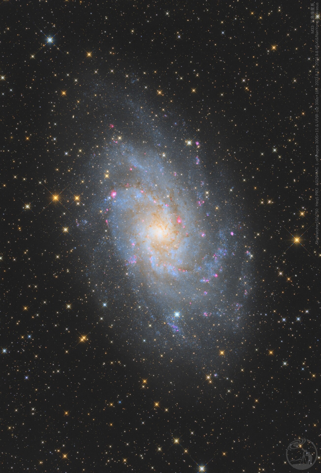 M33