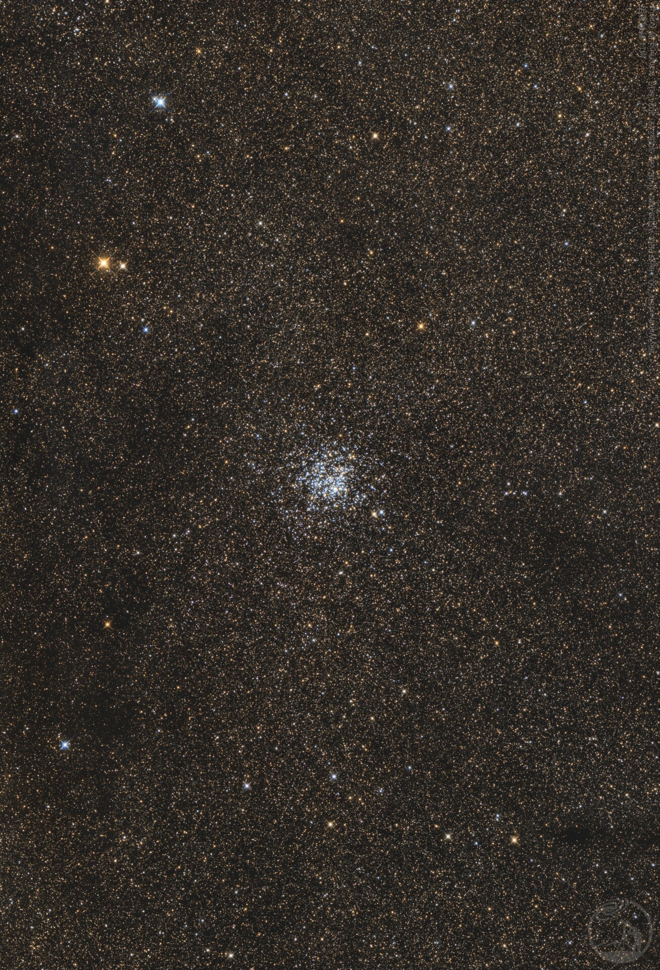 M11野鸭星团——星沙之珍珠