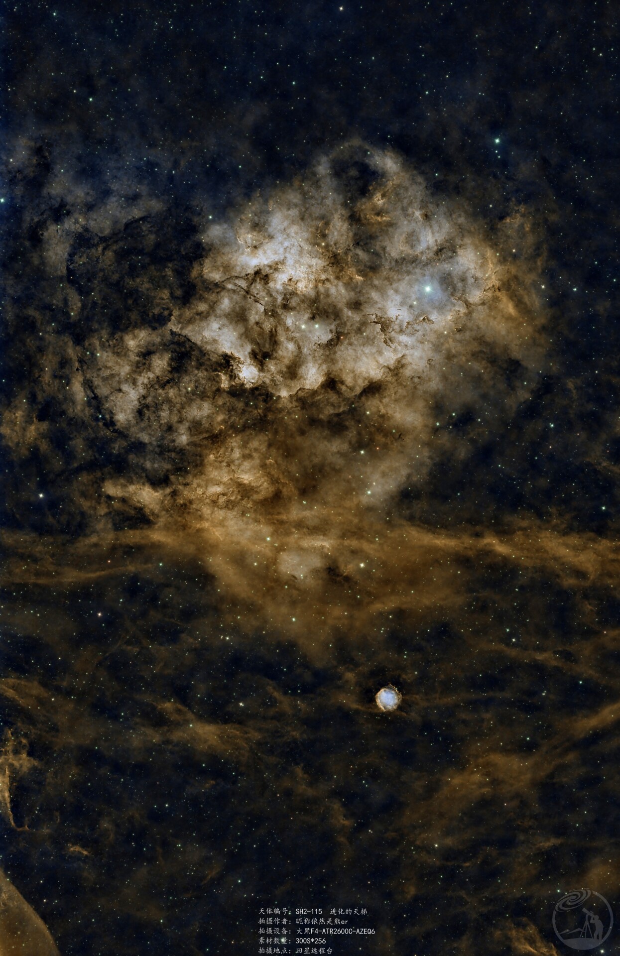 sh2-115进化的天梯