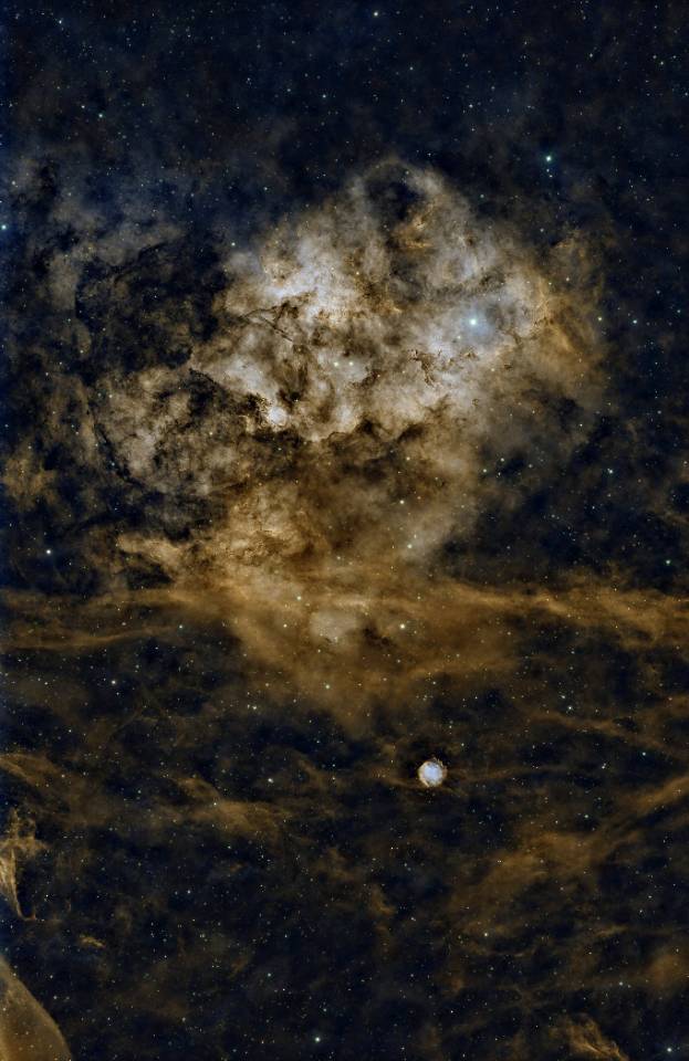 sh2-115进化的天梯