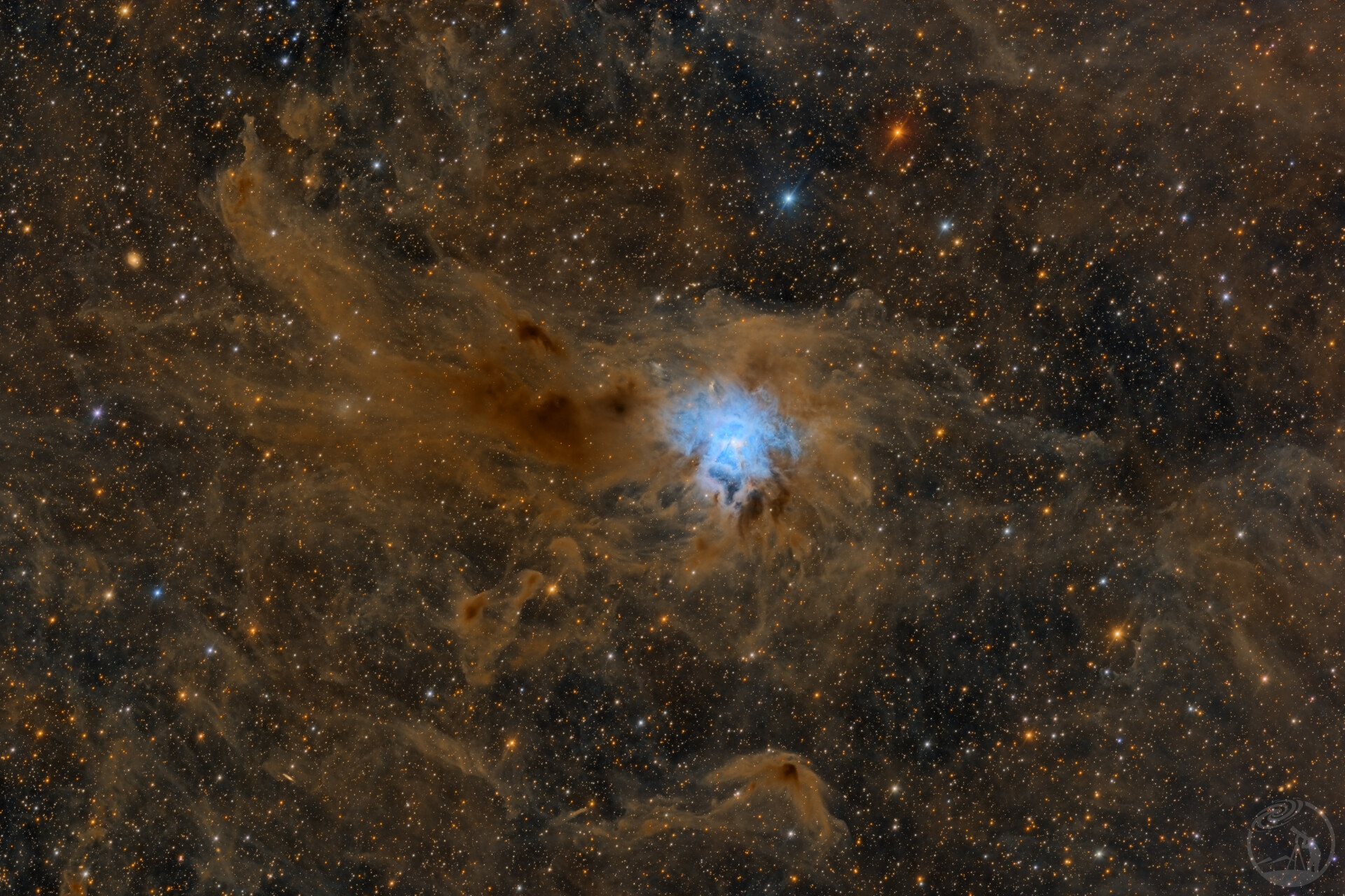 鸢尾花星云（NGC 7023）