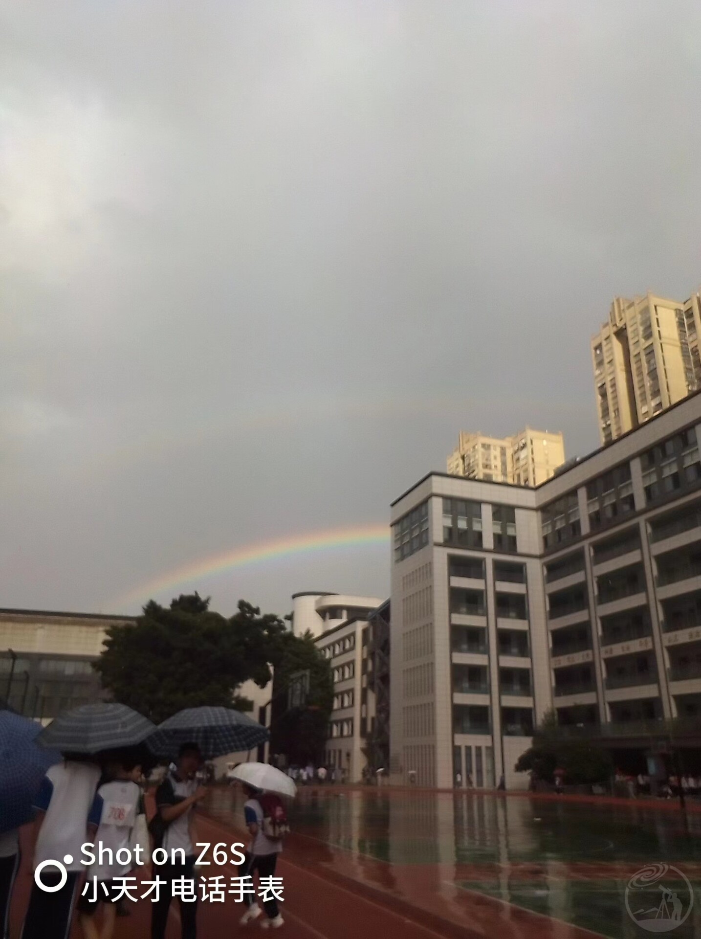 雨后彩虹🌈