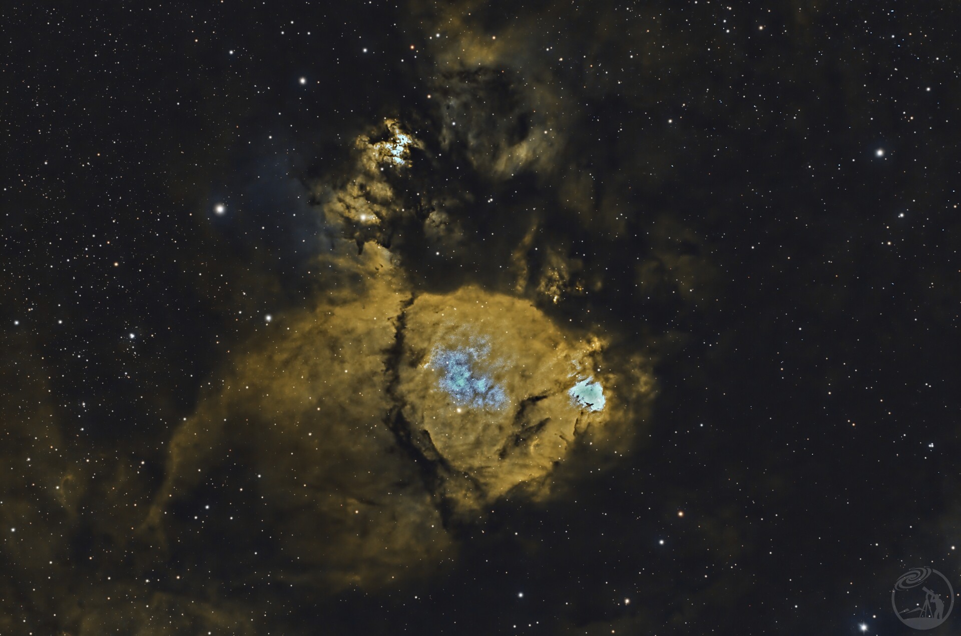 IC1795鱼头星云