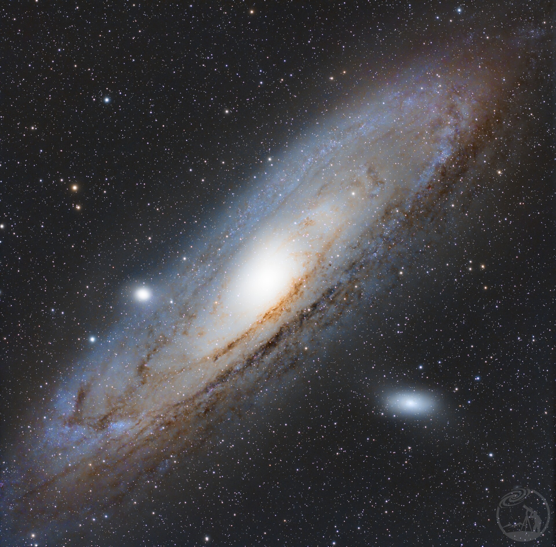 M31