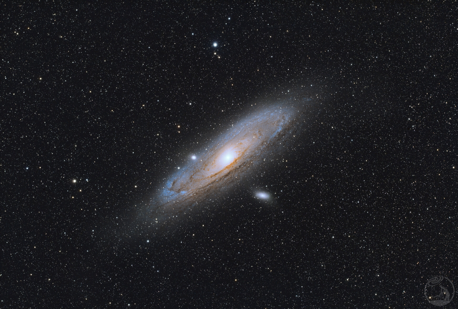 M31