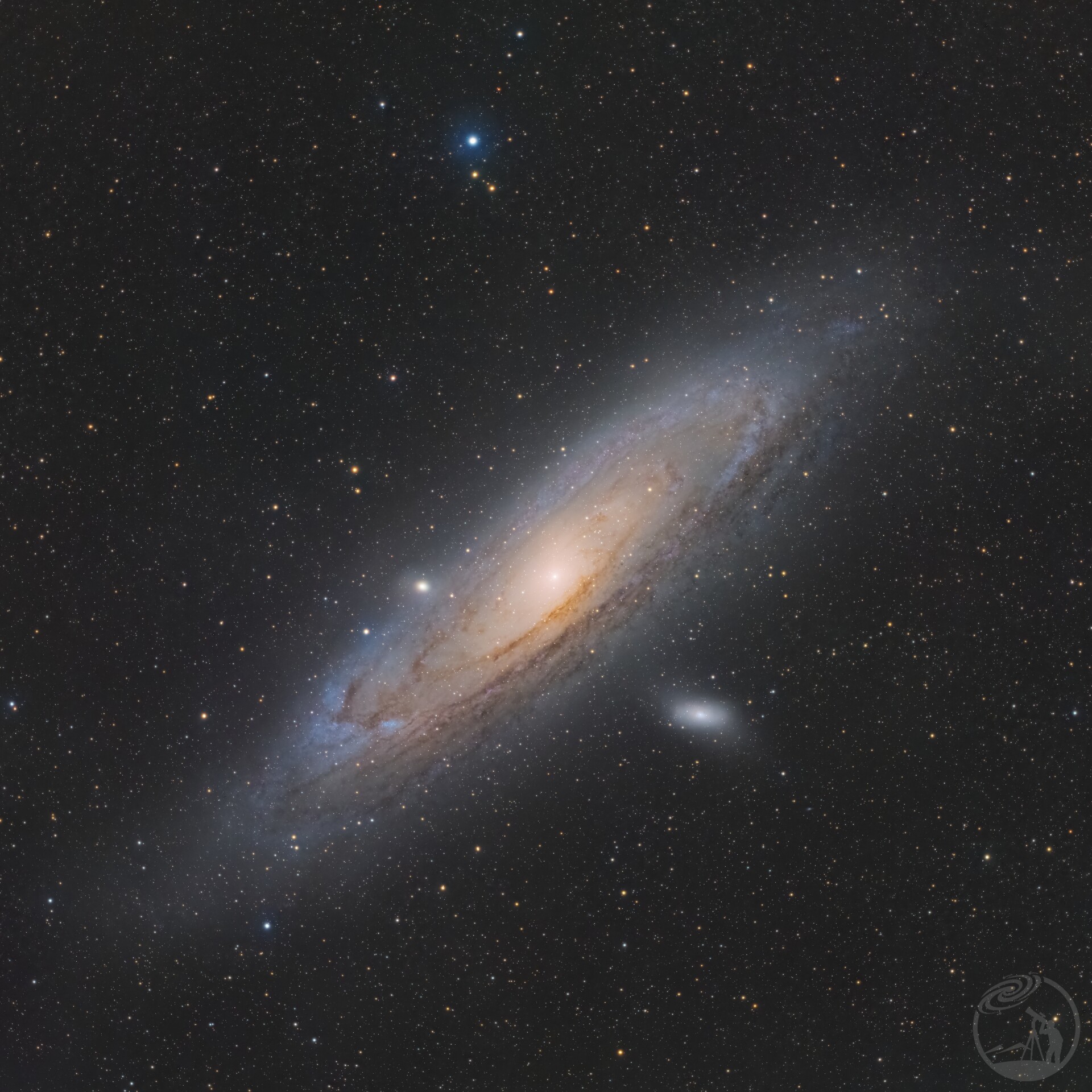 M31