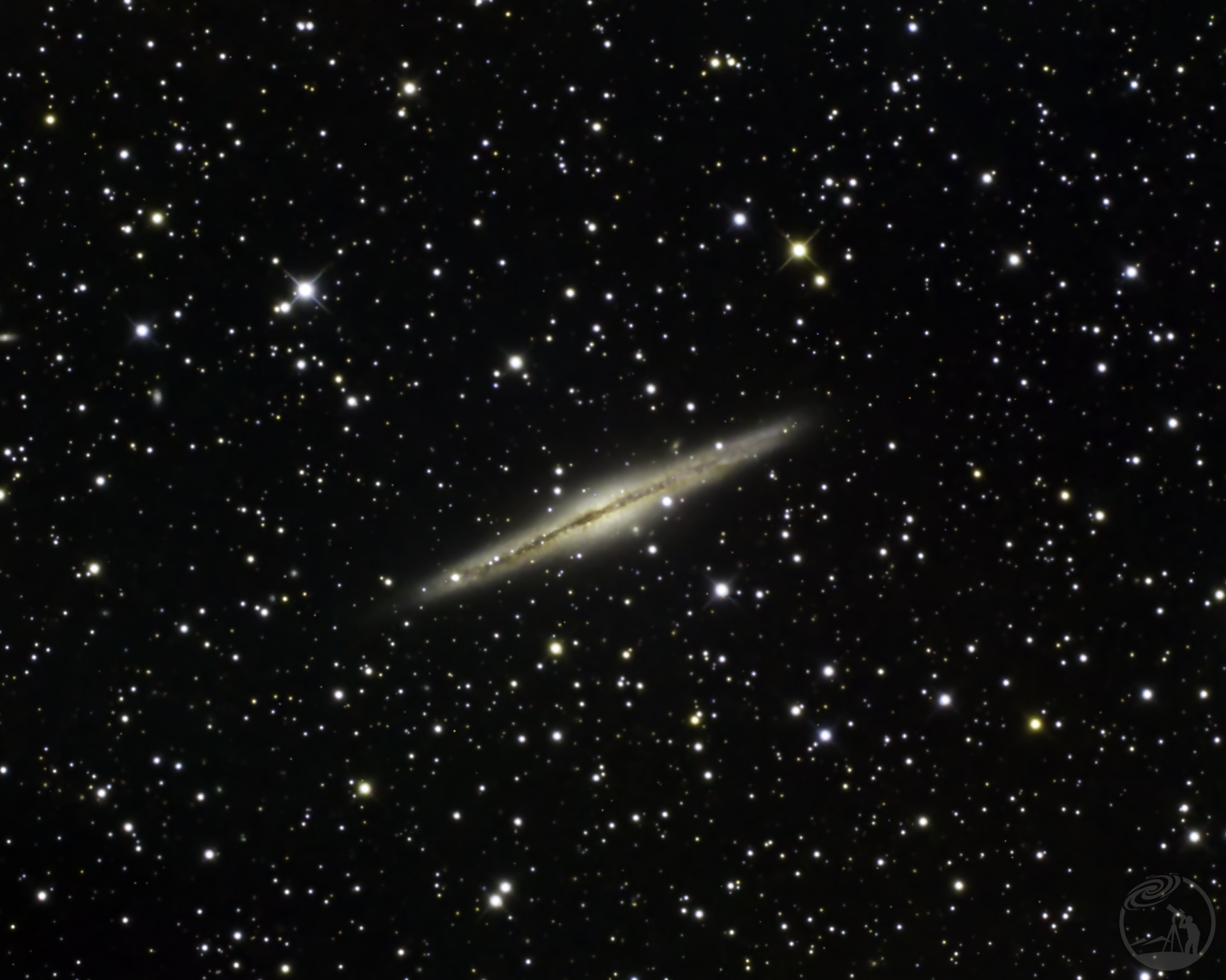 NGC891