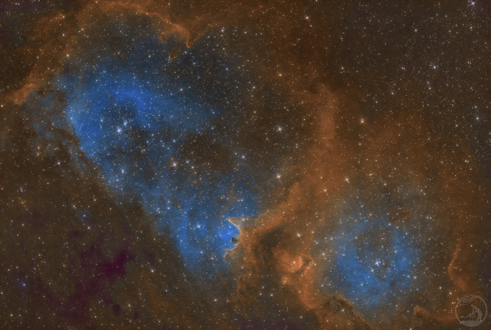 ic1848