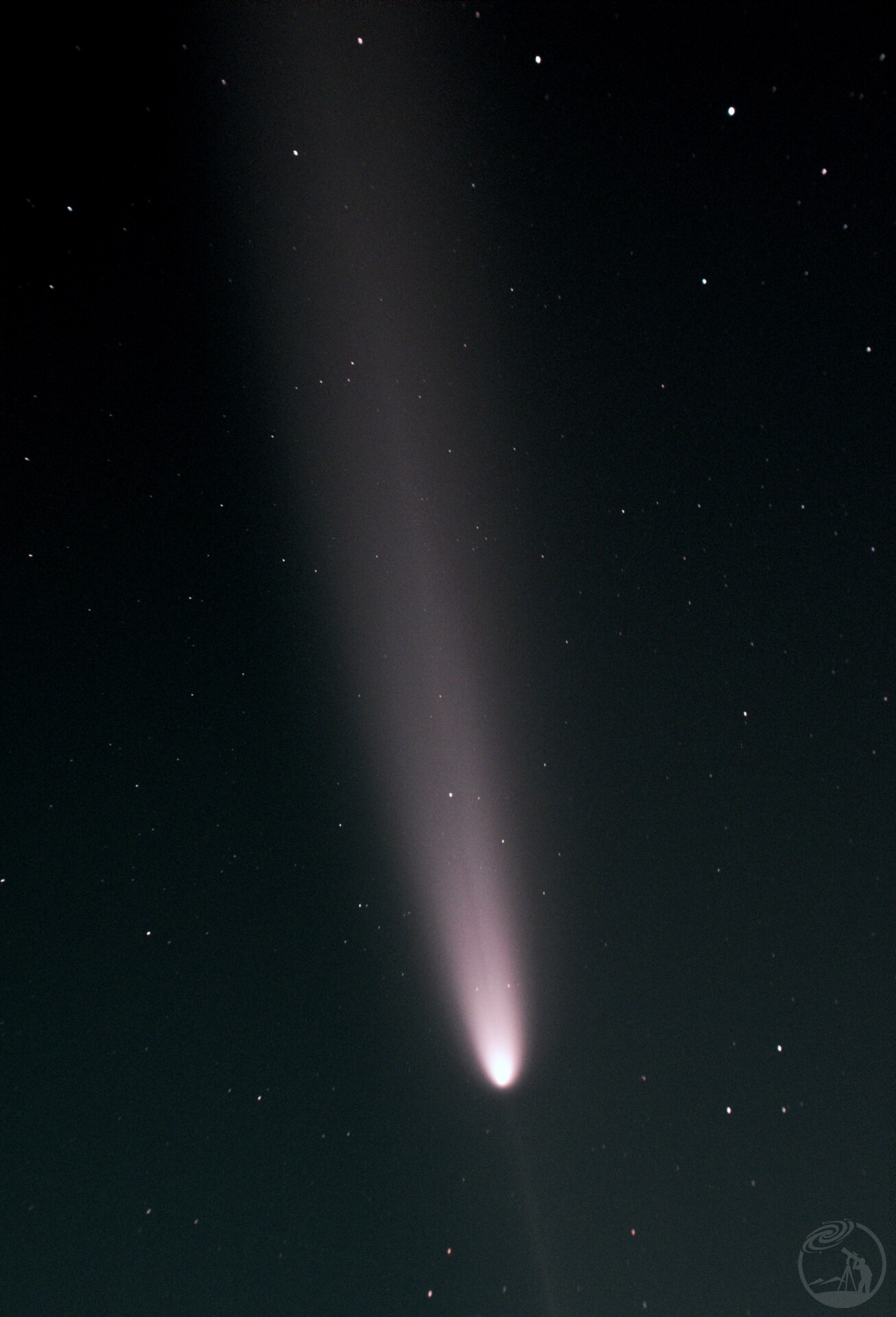 紫金山阿特拉斯彗星,6万年后再见
