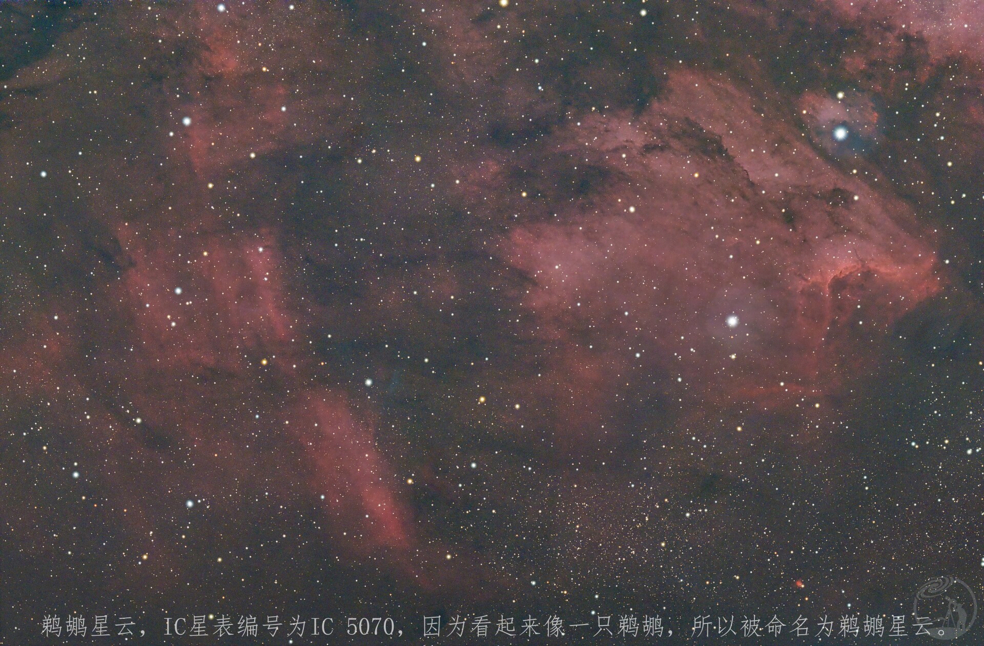 鹈鹕星云