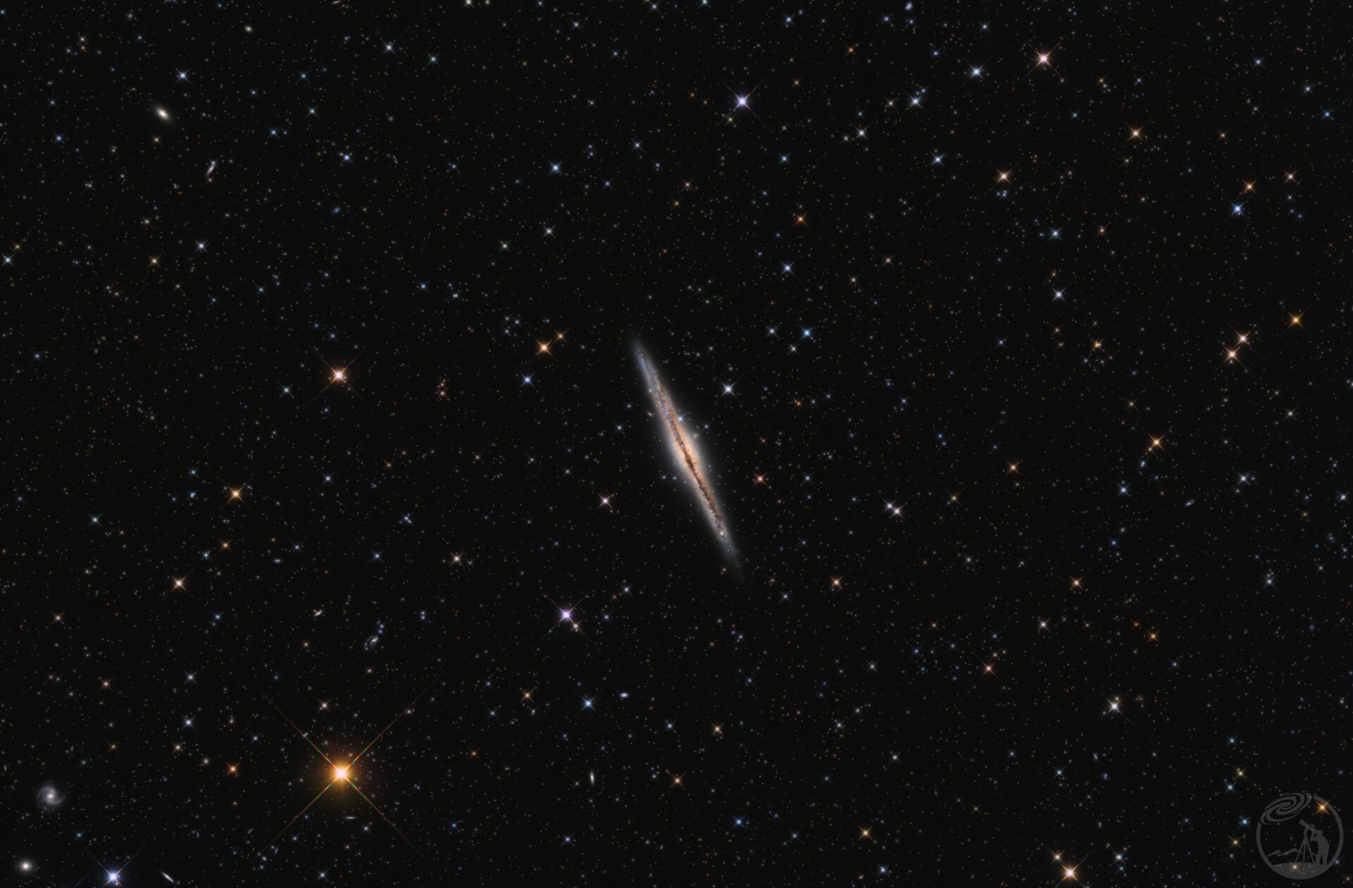 NGC891