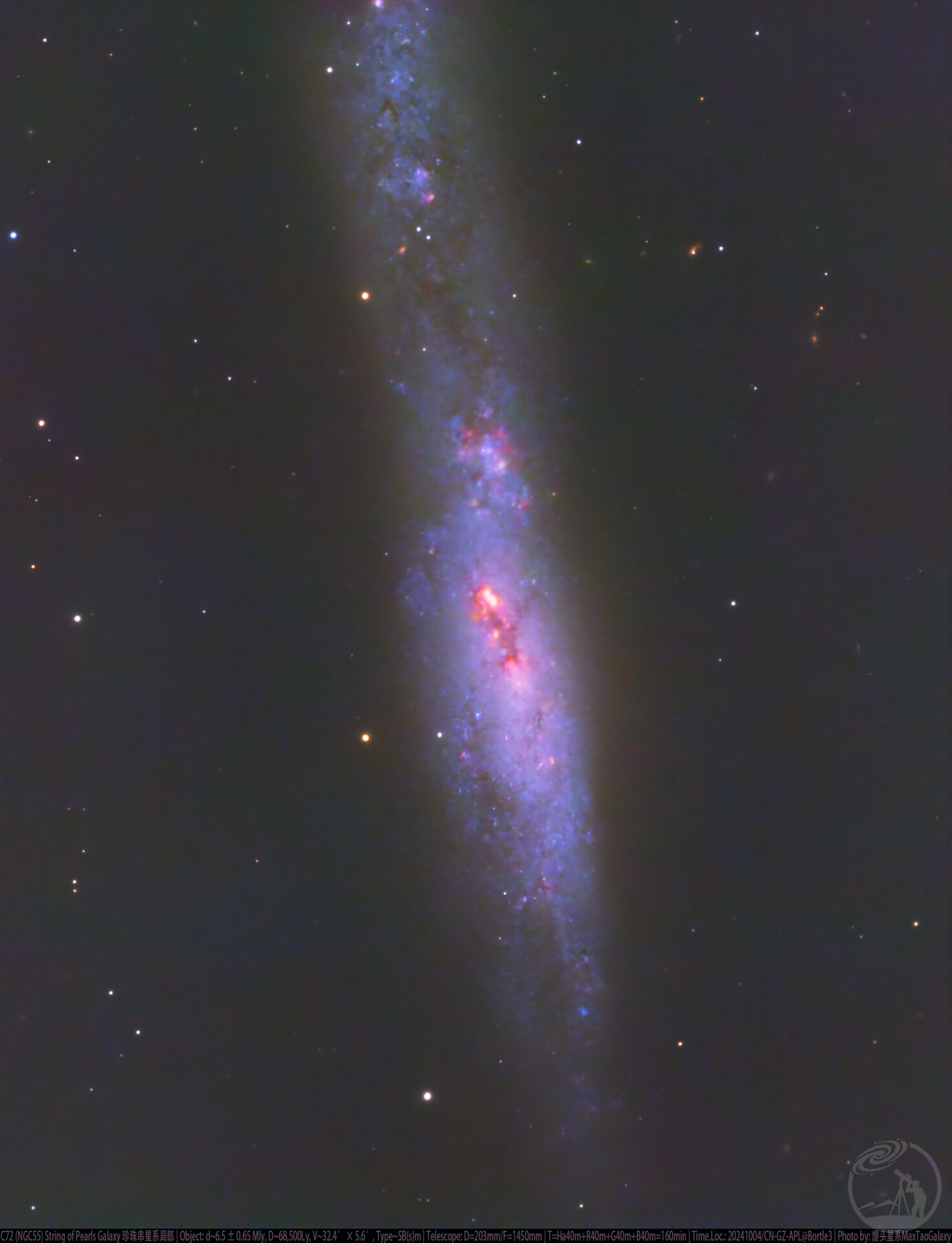 C72 (NGC55) 珍珠串星系局部