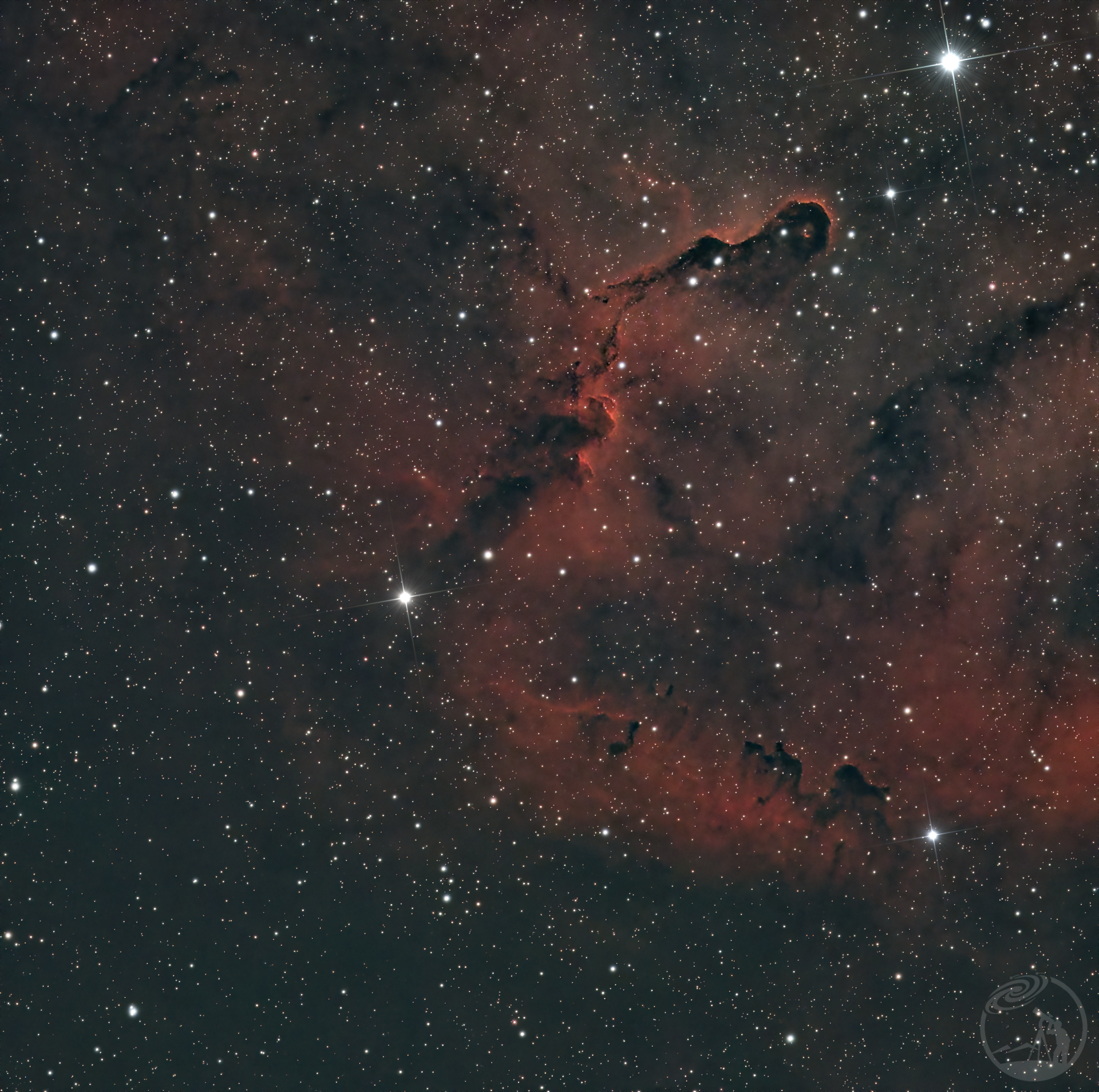 IC1396象鼻星云局部