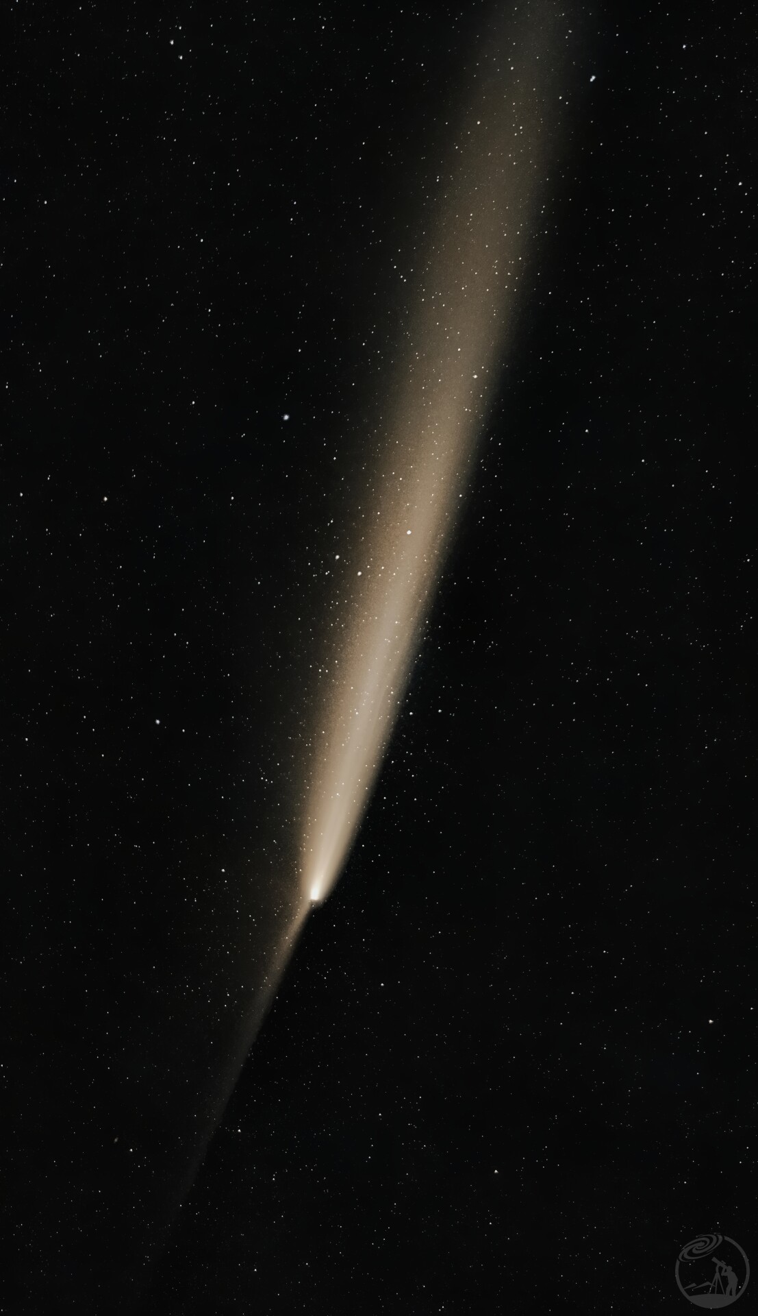 紫金山彗星反尾