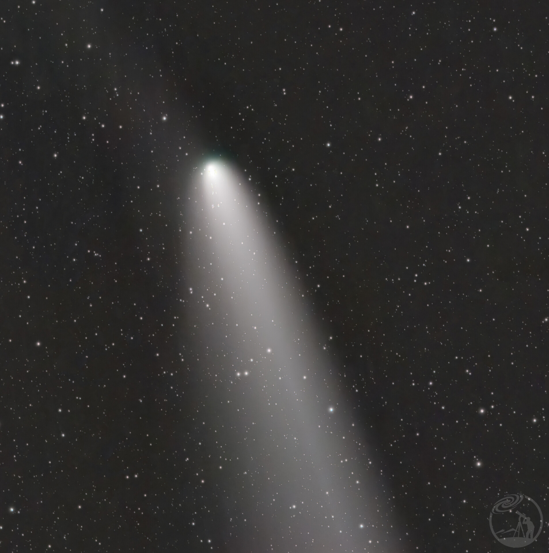 紫金山彗星