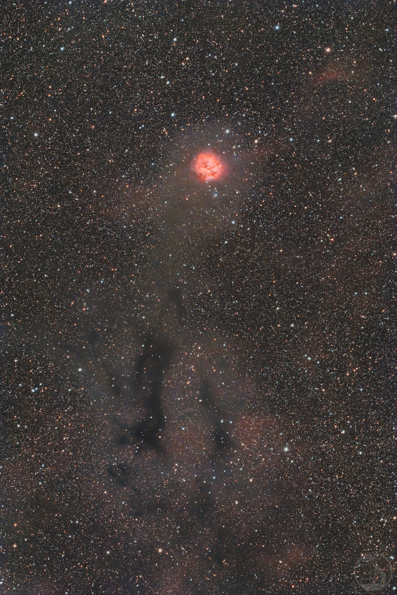 IC5146茧星云 RASA 8级深空