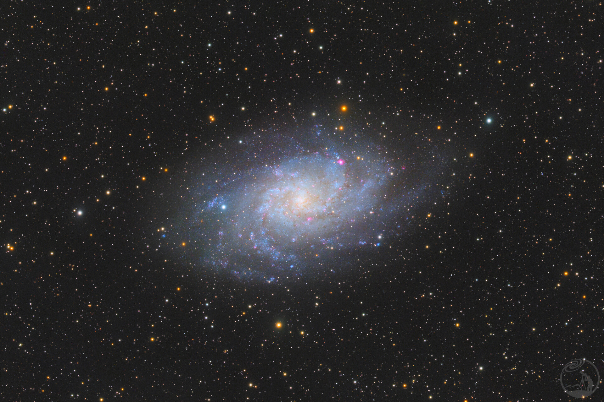 M33