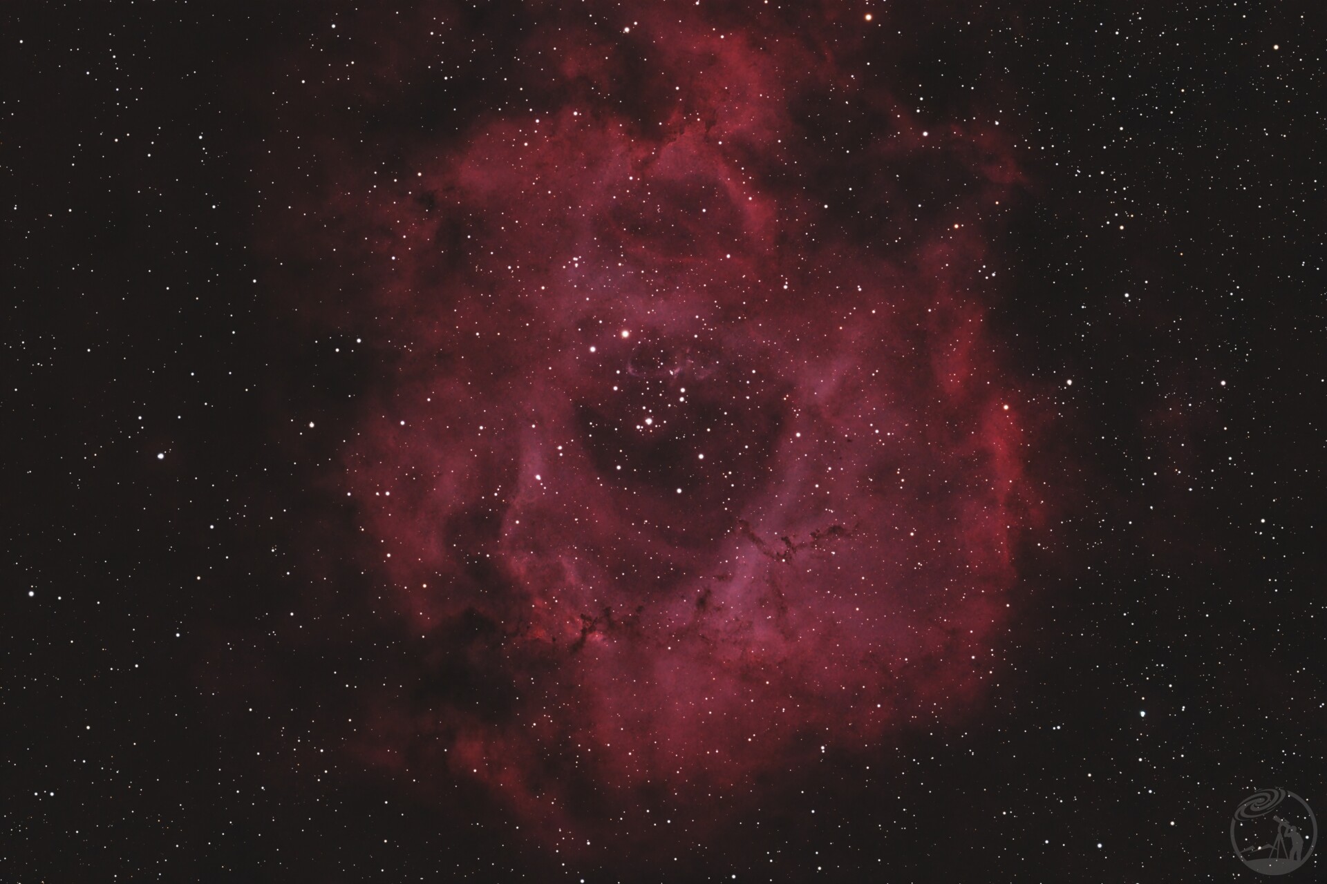 玫瑰星云
