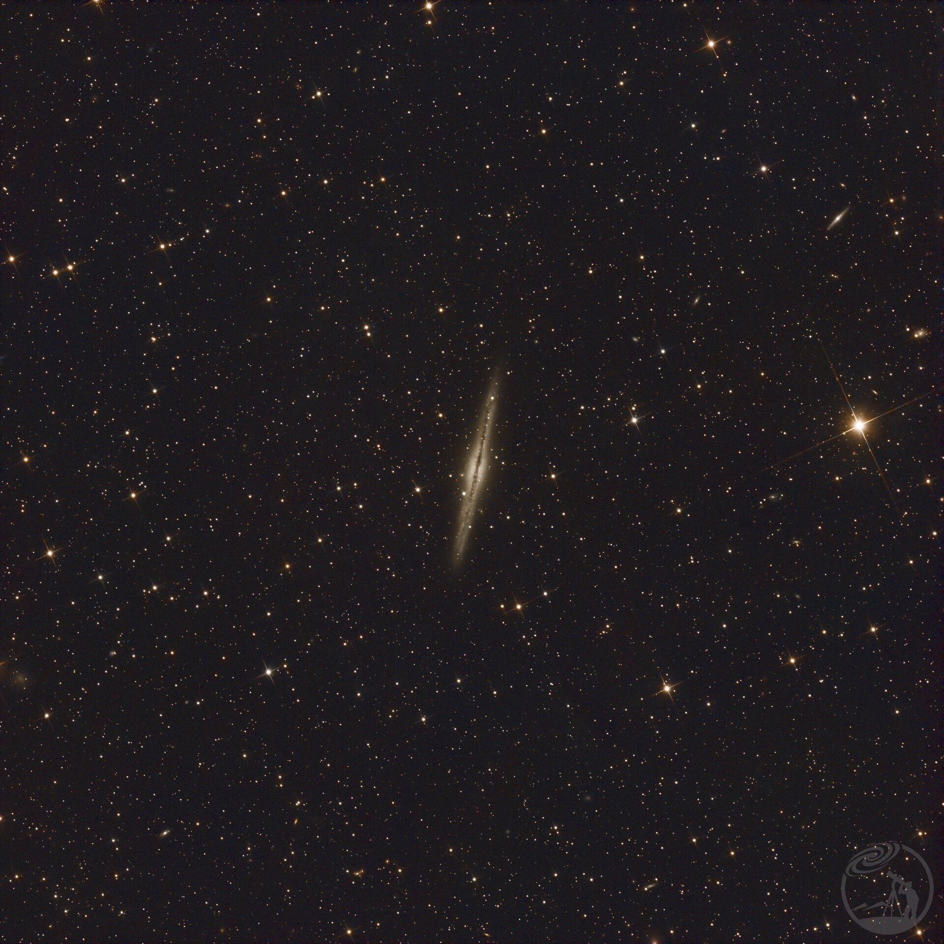 ngc891快餐3小时