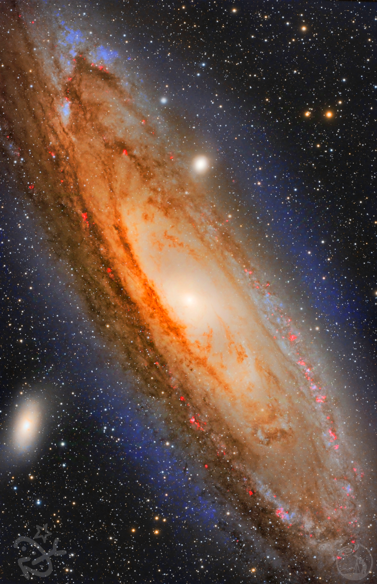 M31