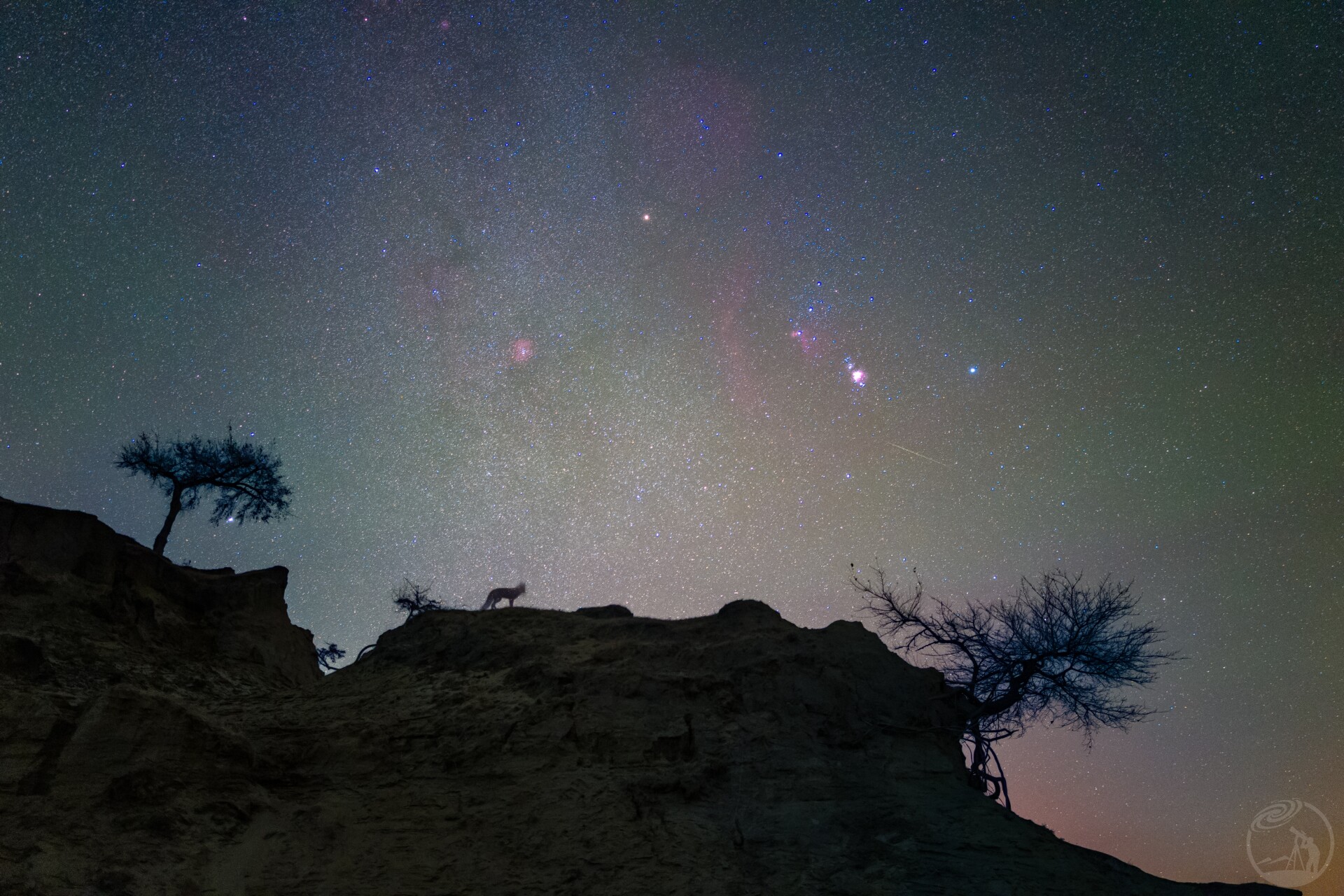 千年传说(狐与星空)