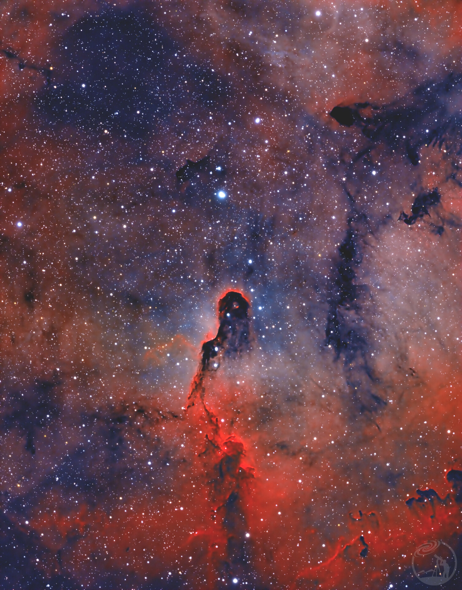 IC1396 象鼻星云