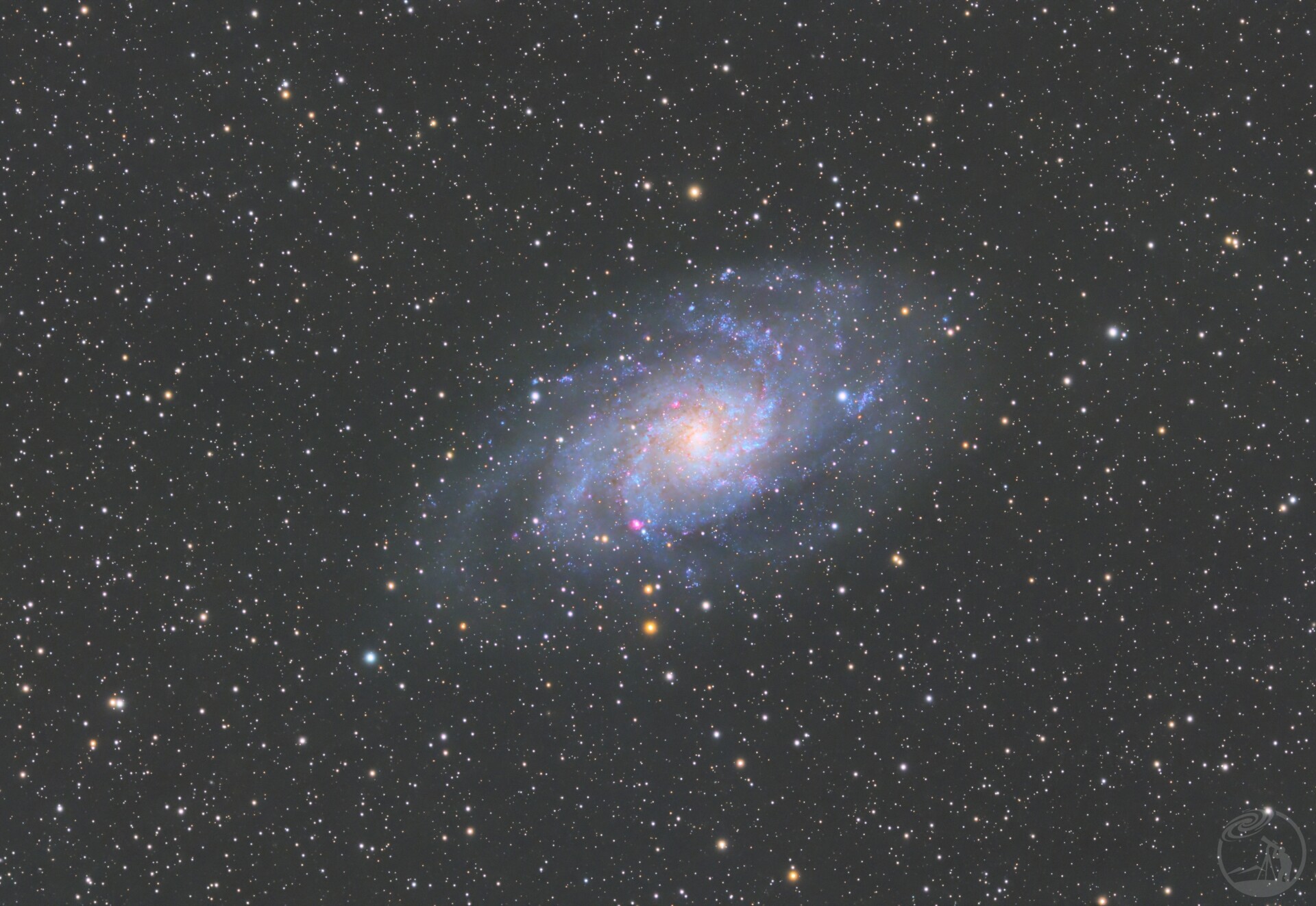 M33