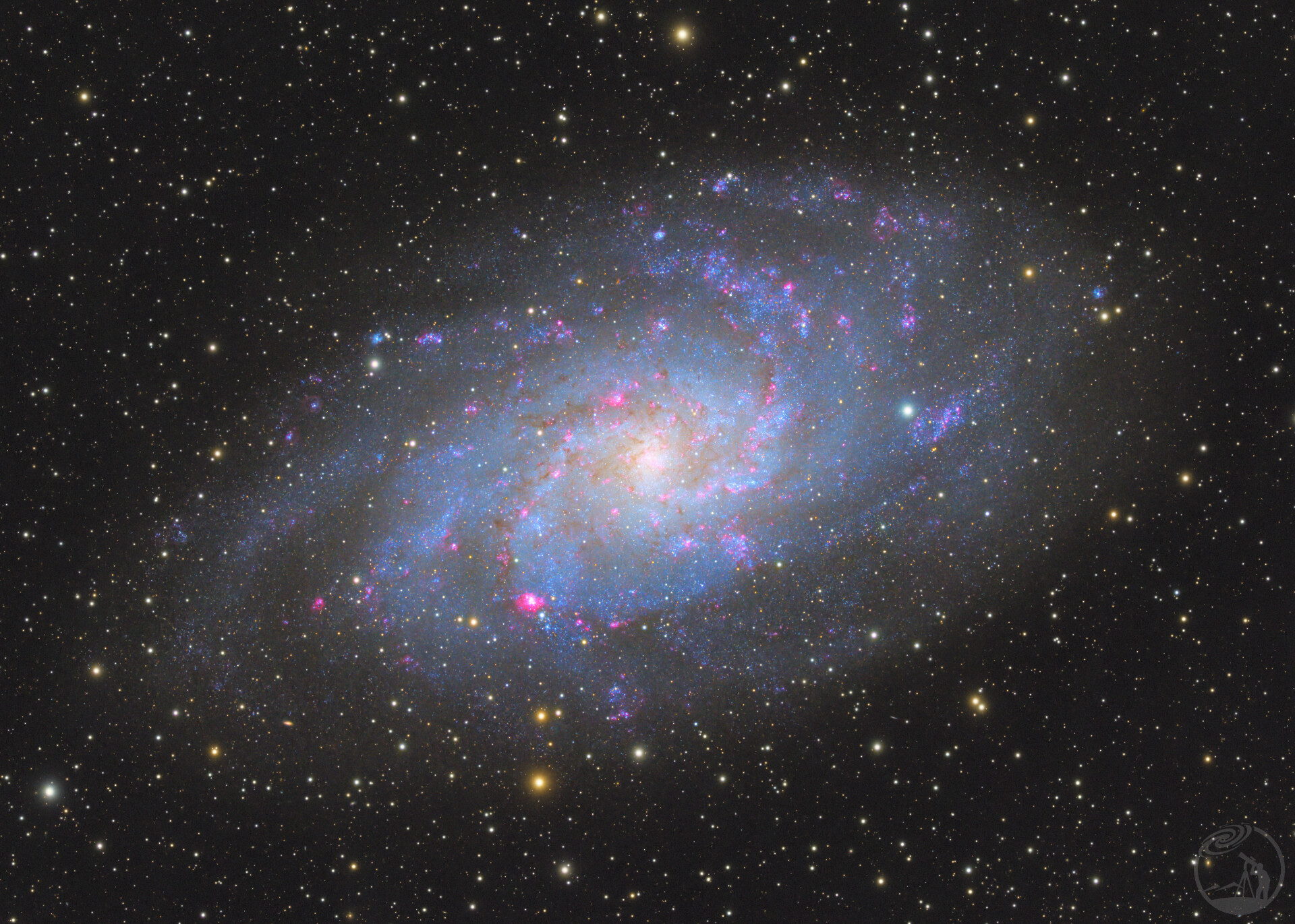 M33