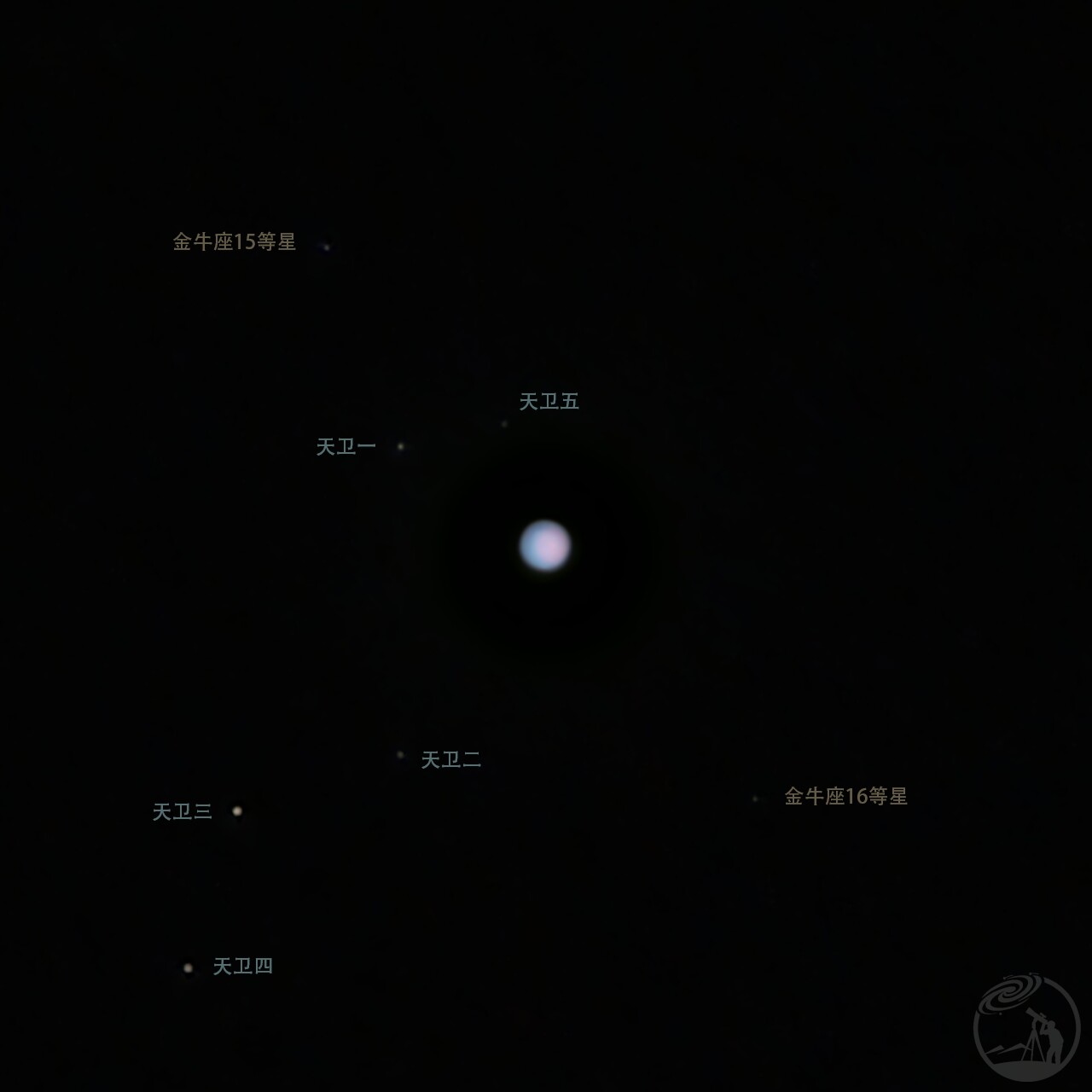 11月2日天王星大家族