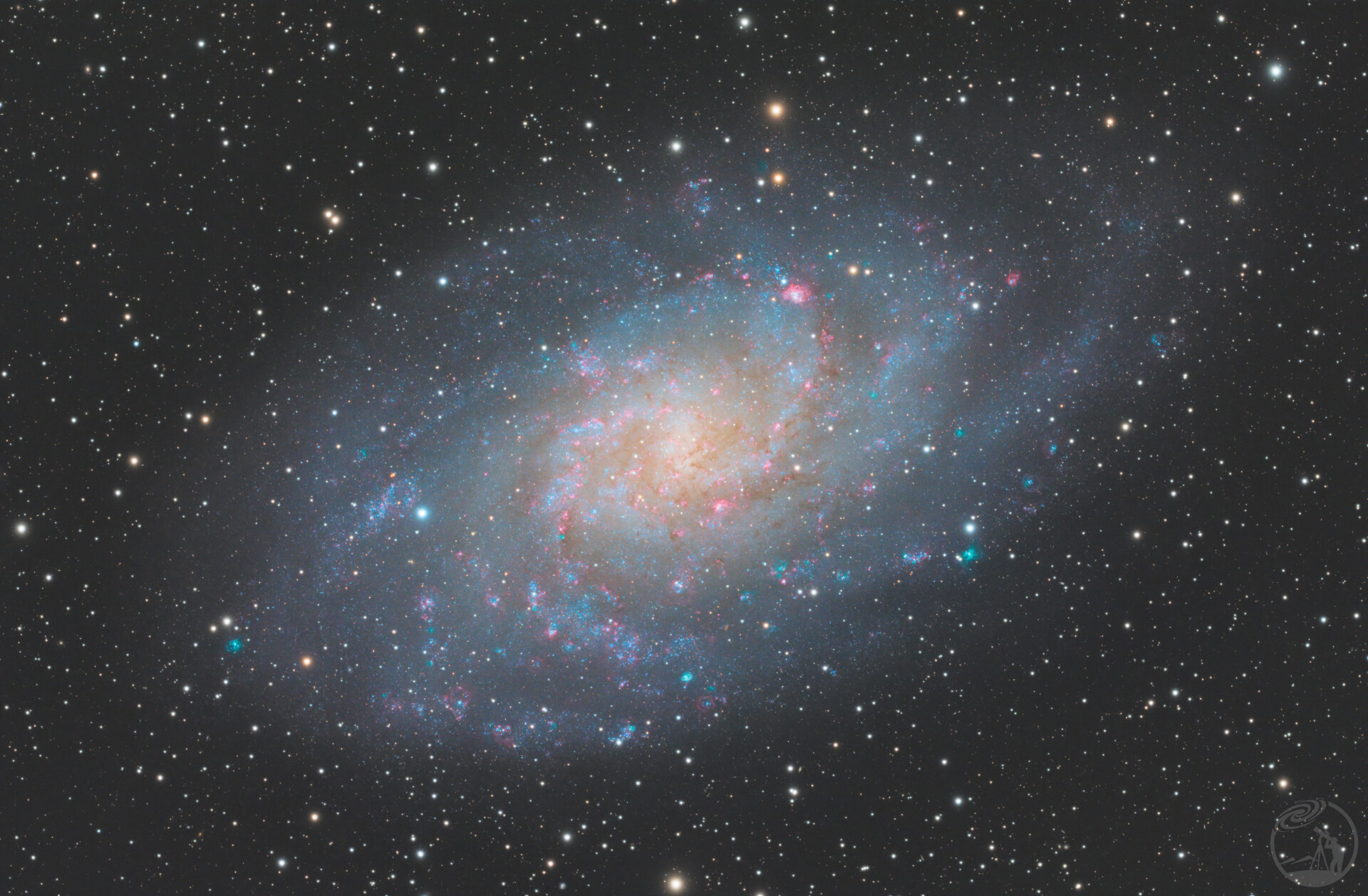 M33 红绿花