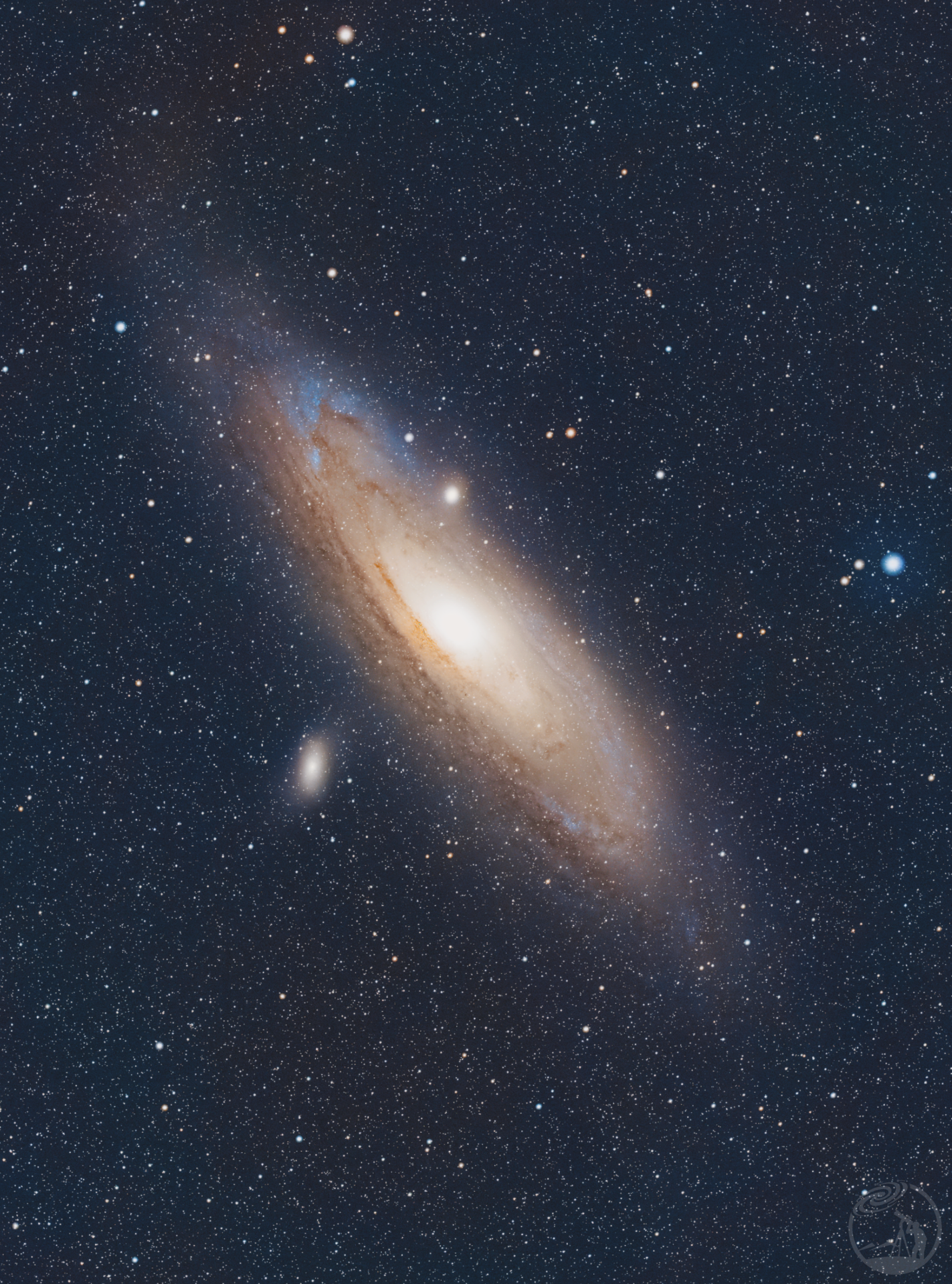 M31