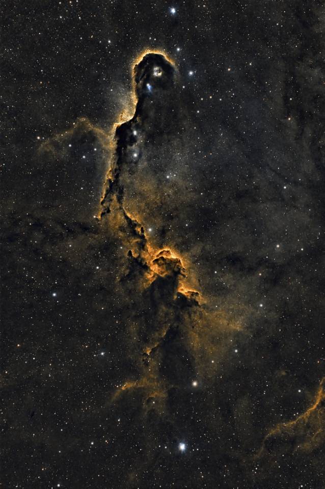 ic1396象鼻星云