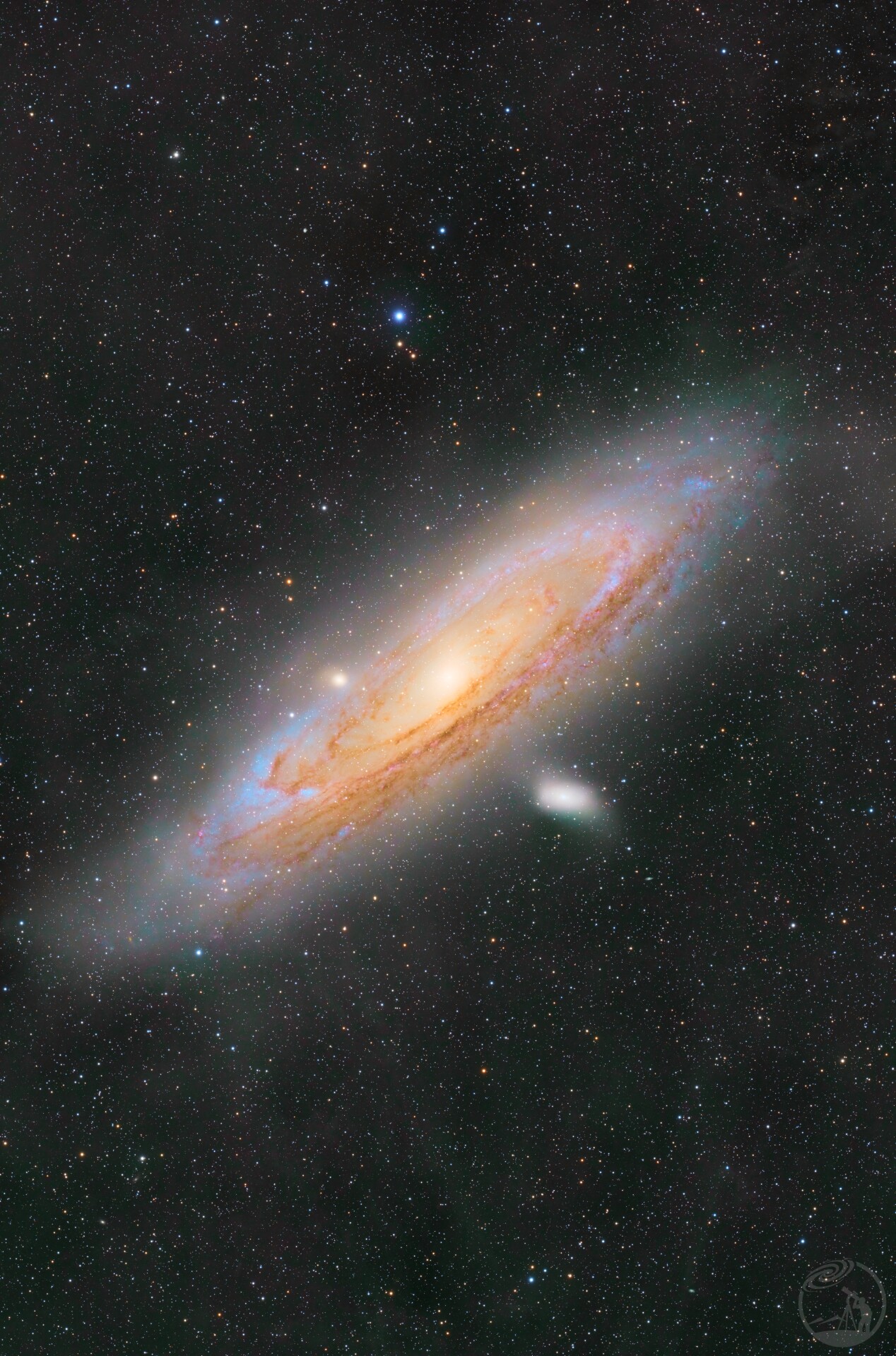 M31