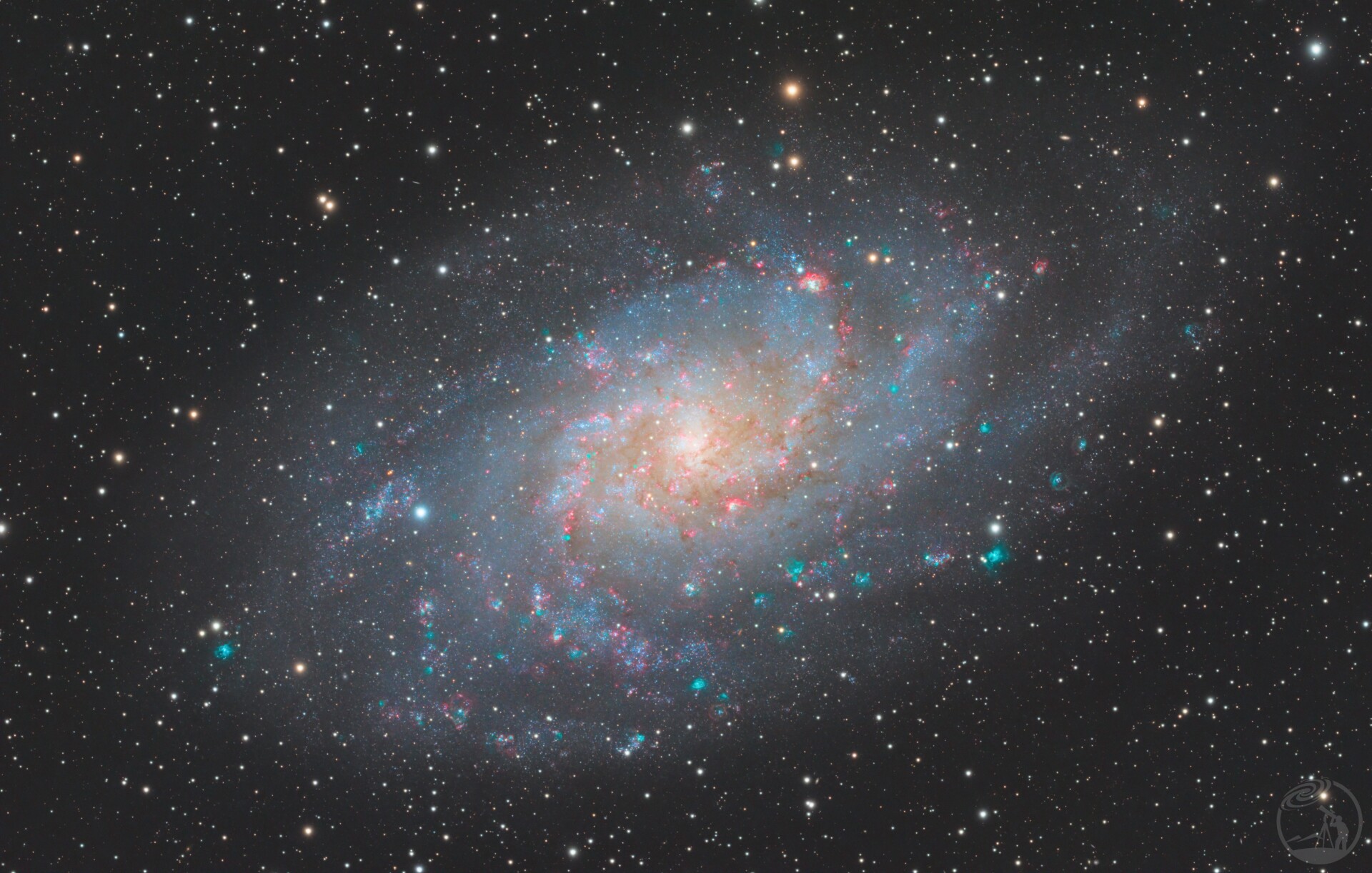 M33