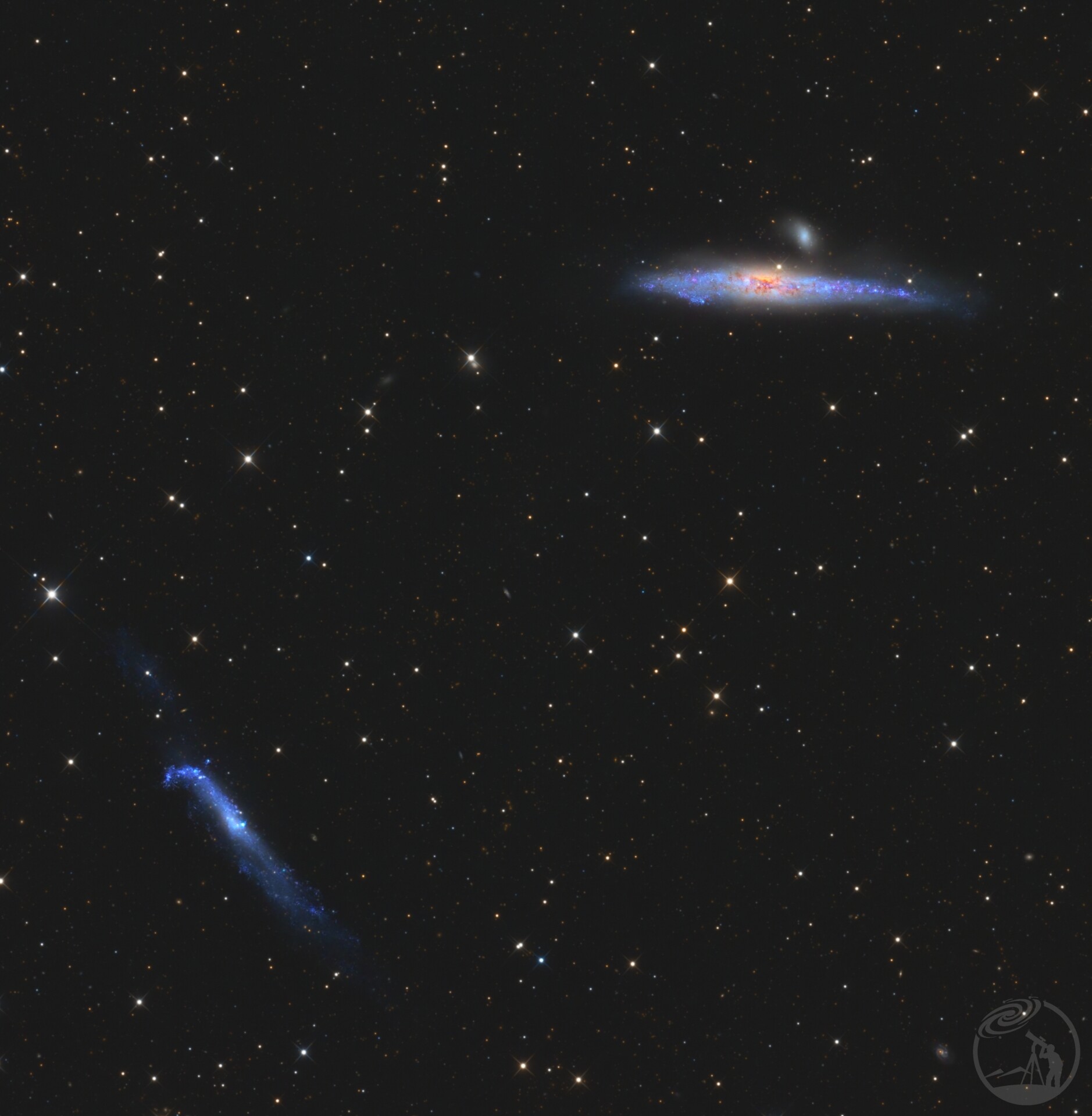 NGC4631鲸鱼星系