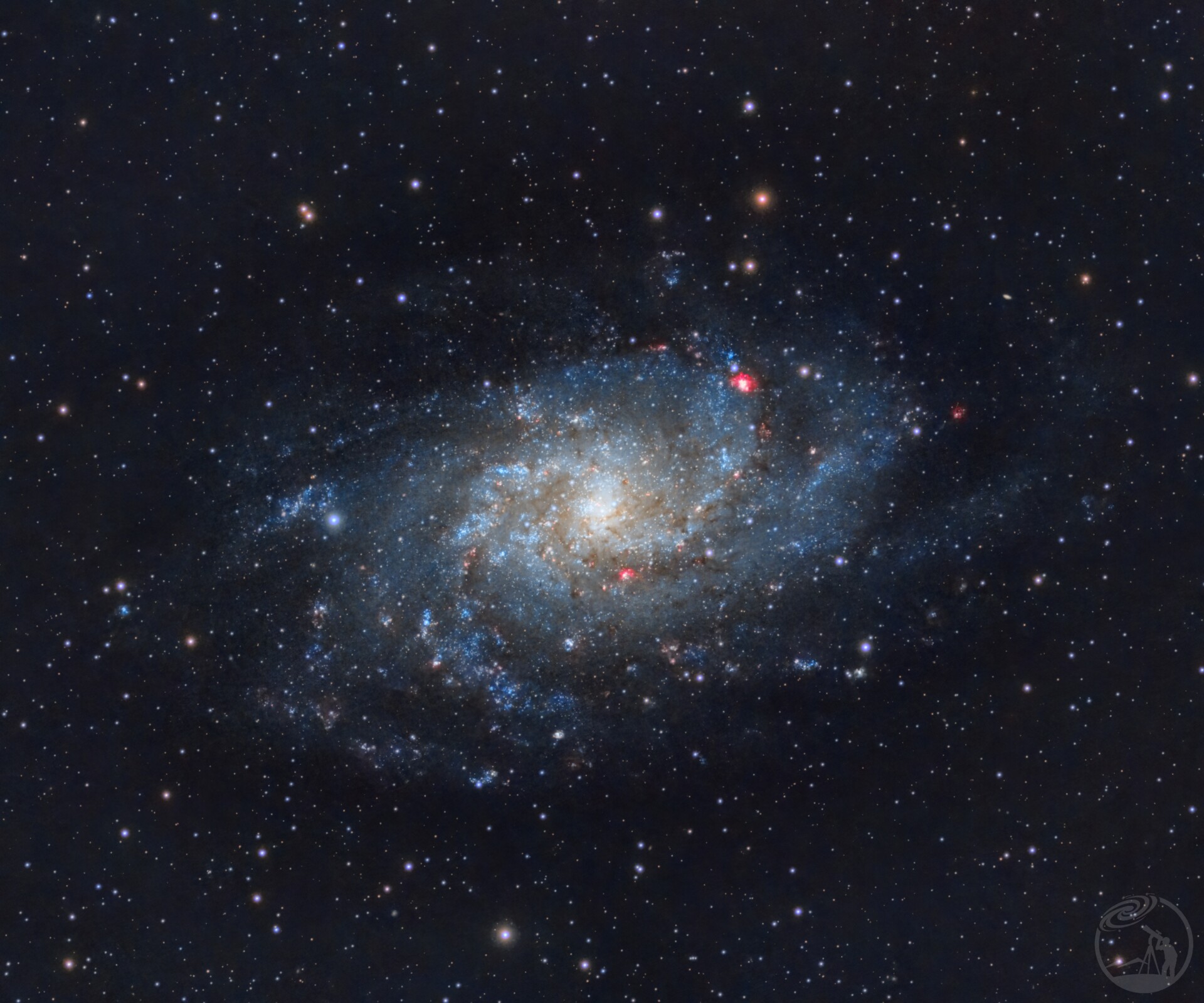 M33