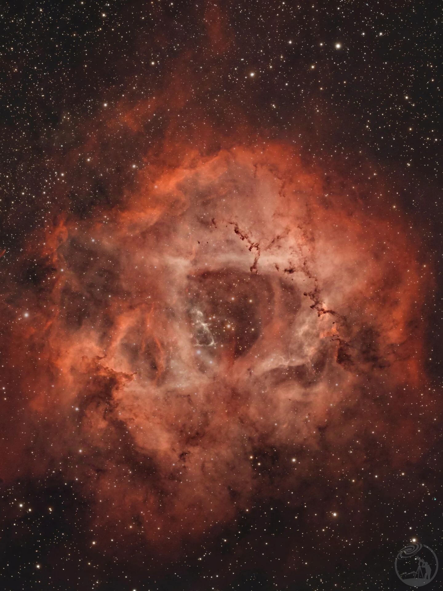 玫瑰星云