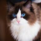 🇷 🇦 🇳 🇷 🇦 🇳