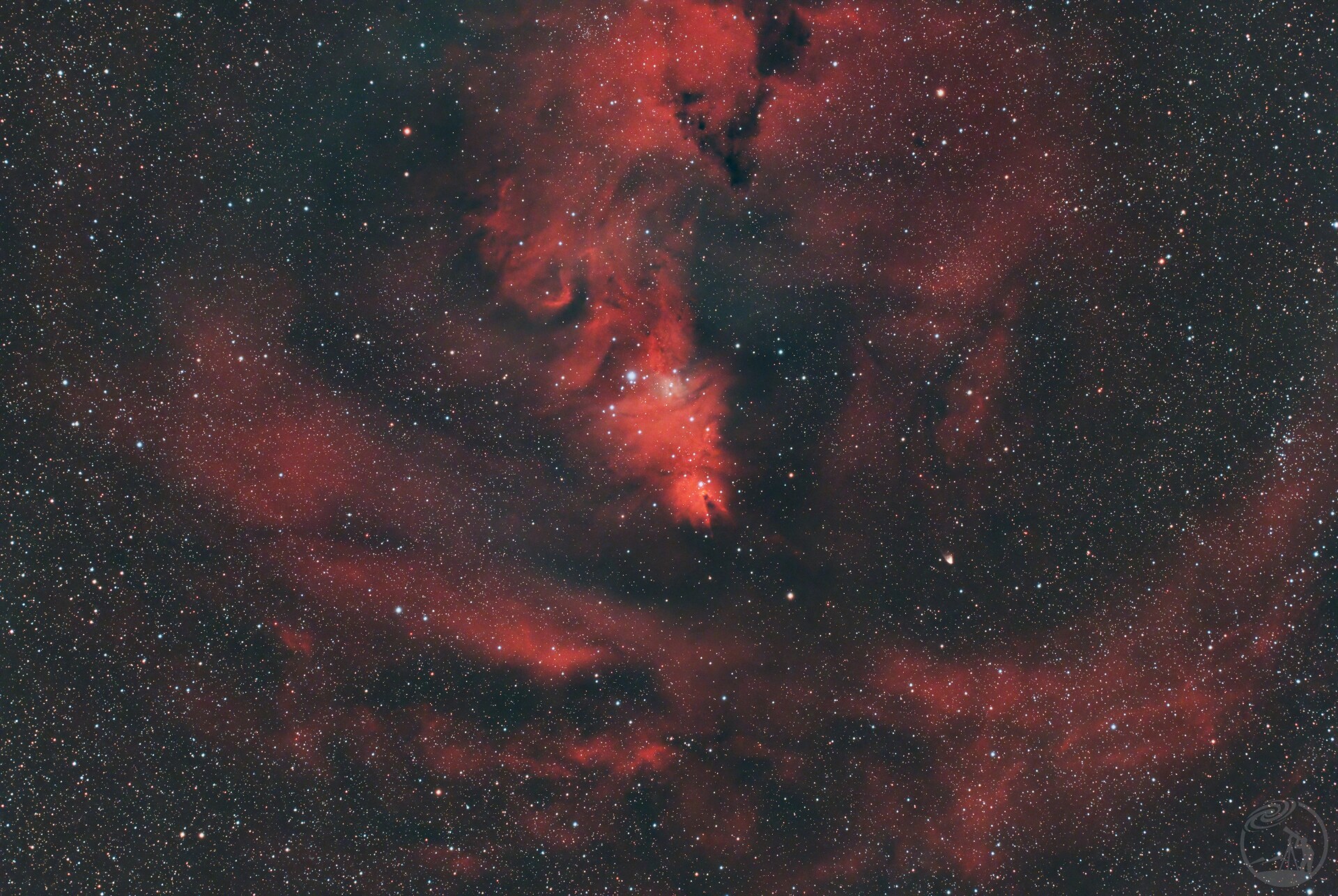 NGC2264