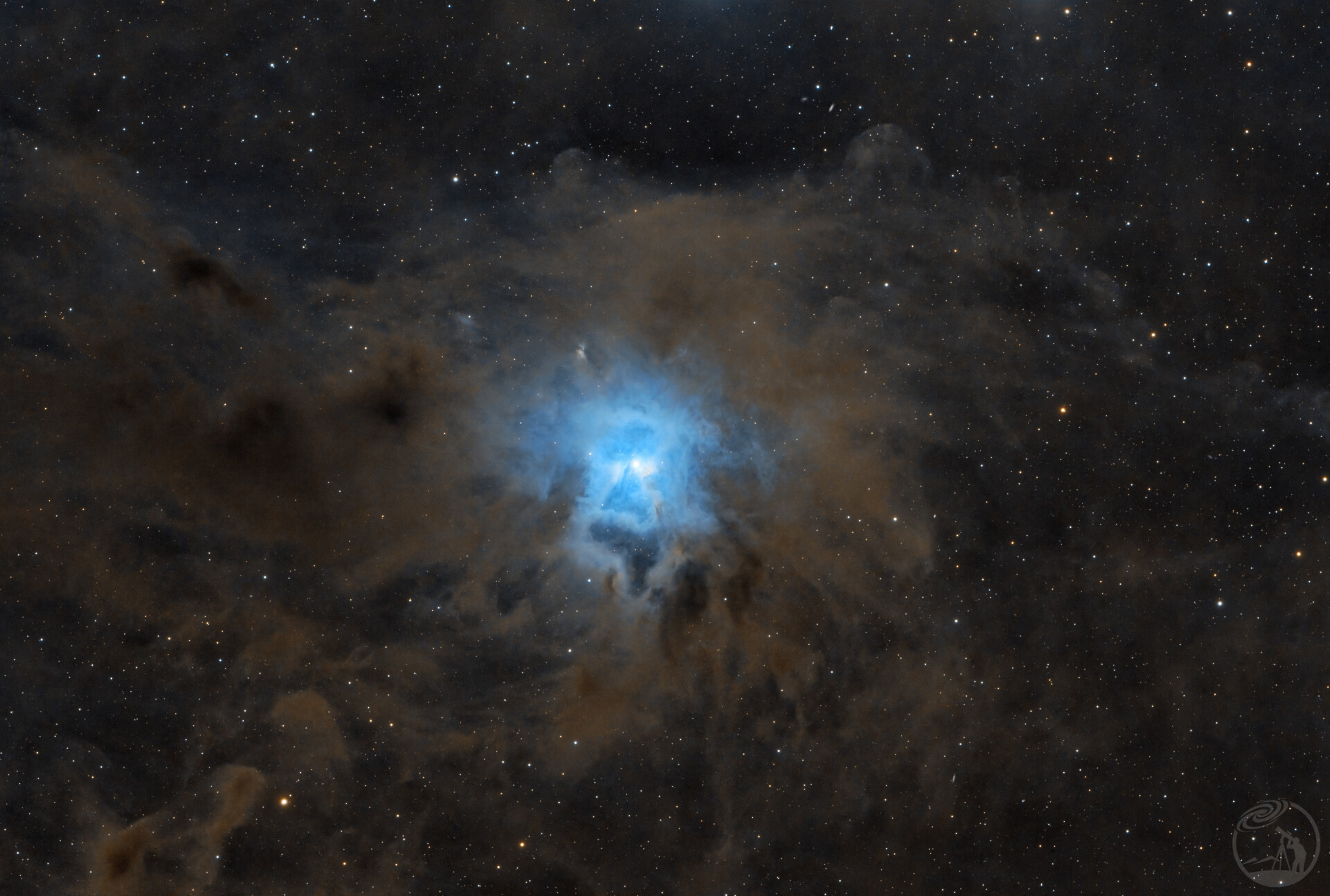 NGC7023 鸢尾花星云