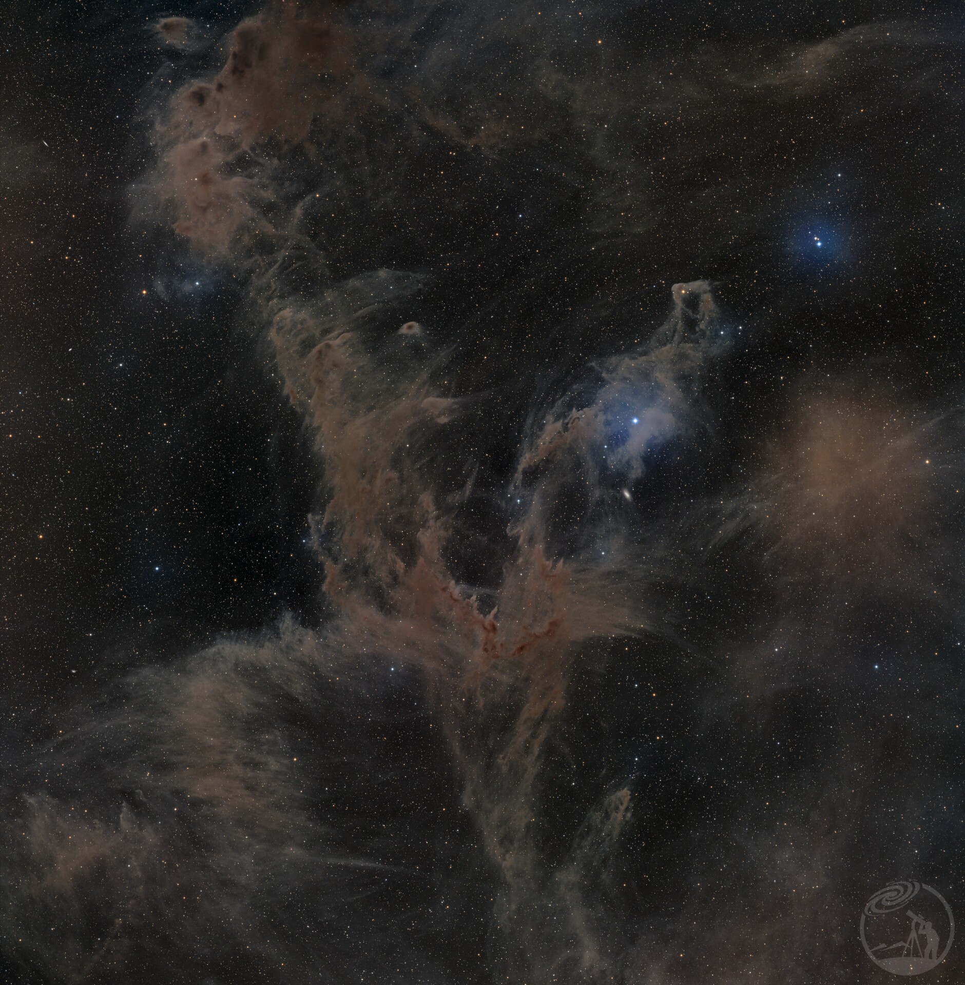 Chamaeleon Molecular Cloud